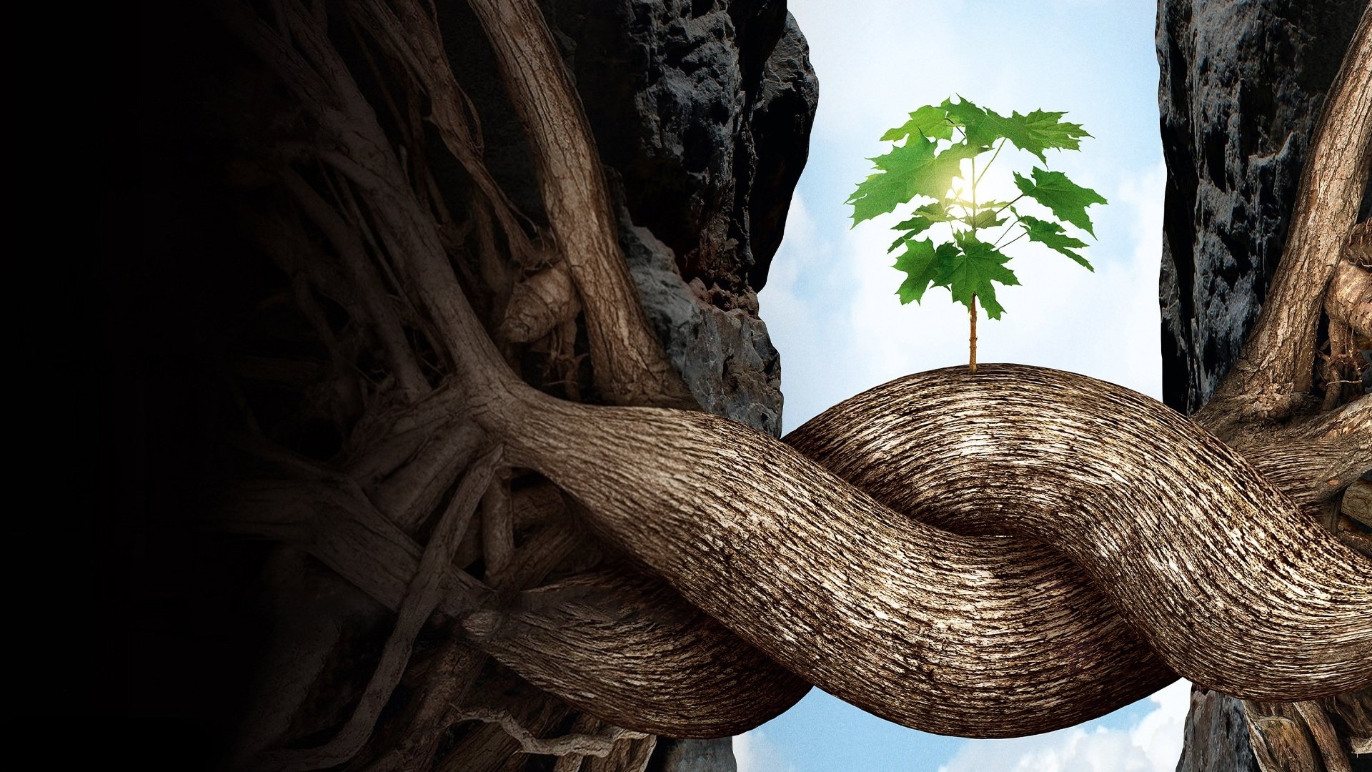 Backdrop for Intelligent Trees