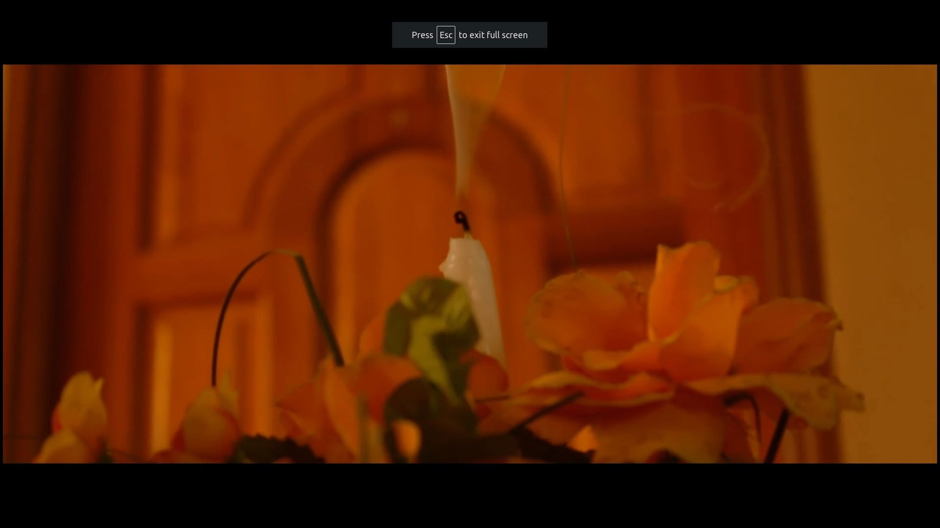 Backdrop for She's No More