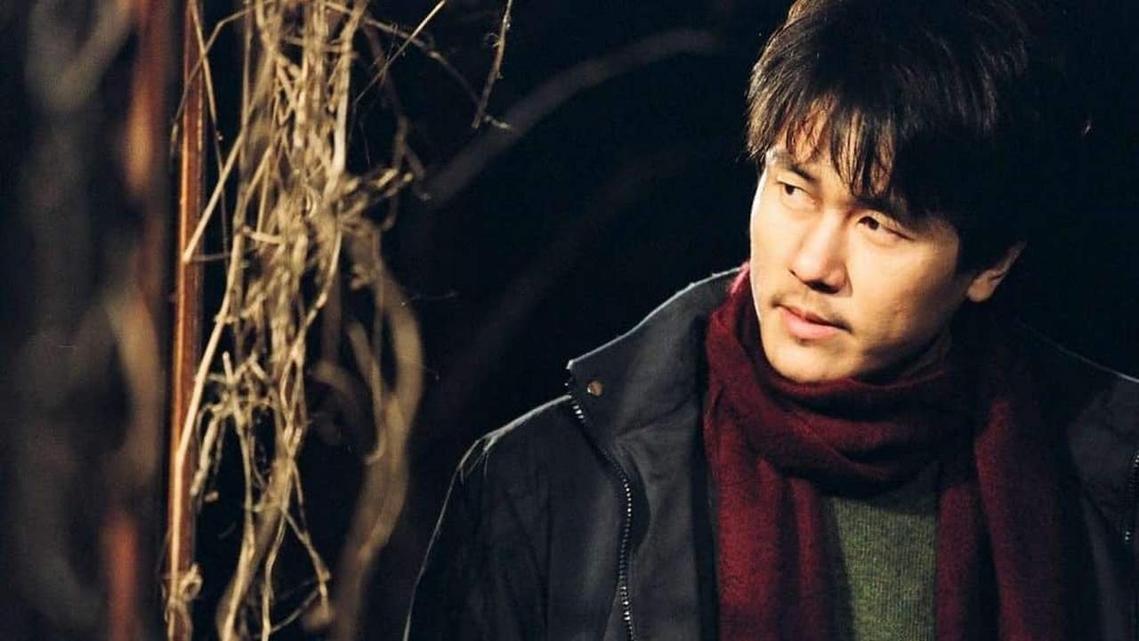 Backdrop for Spider Forest