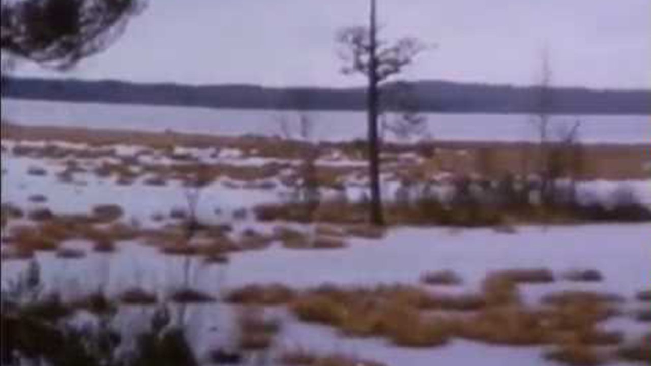 Backdrop for Striaght Ahead