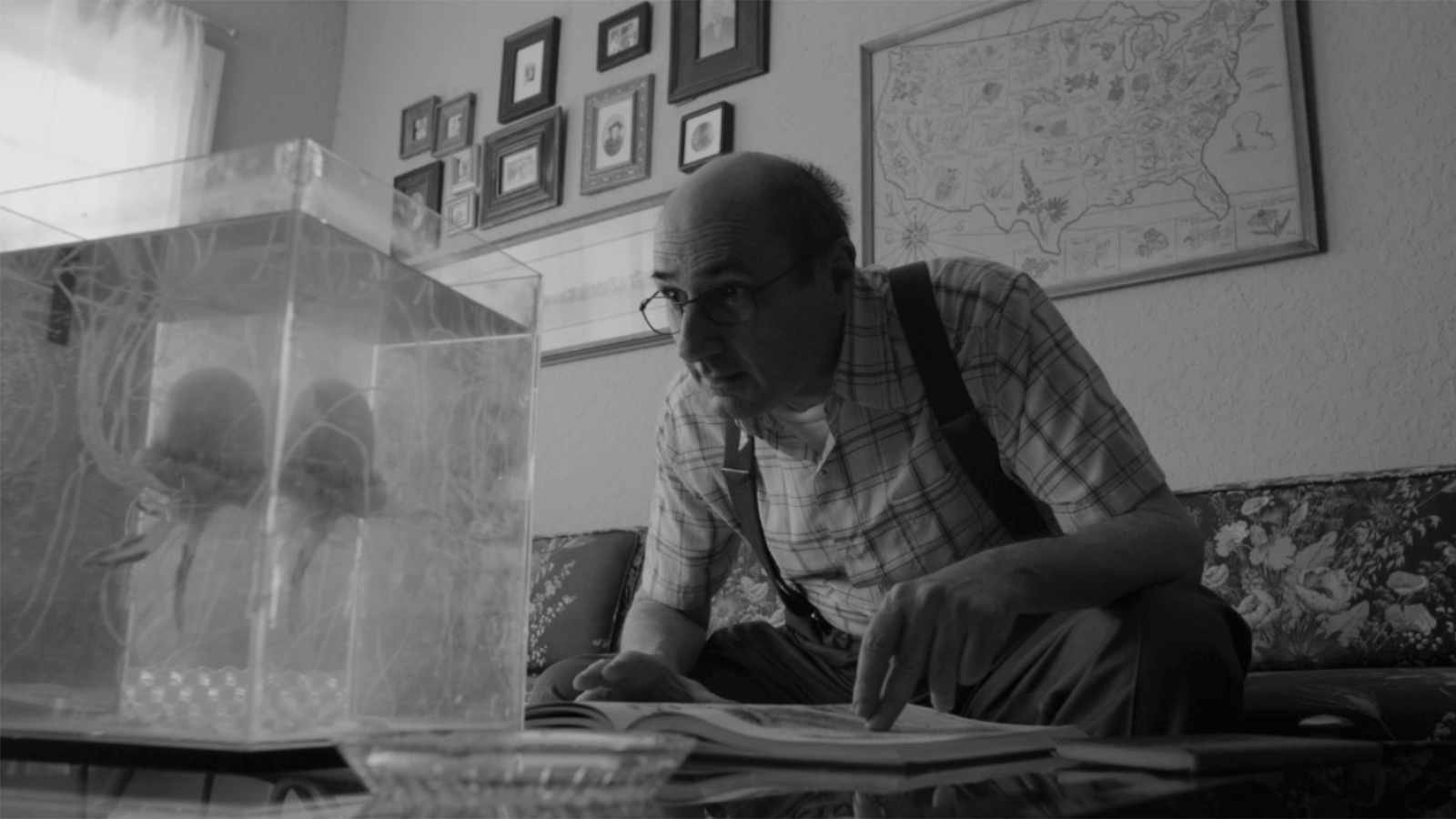 Backdrop for Sherman and Pacifico