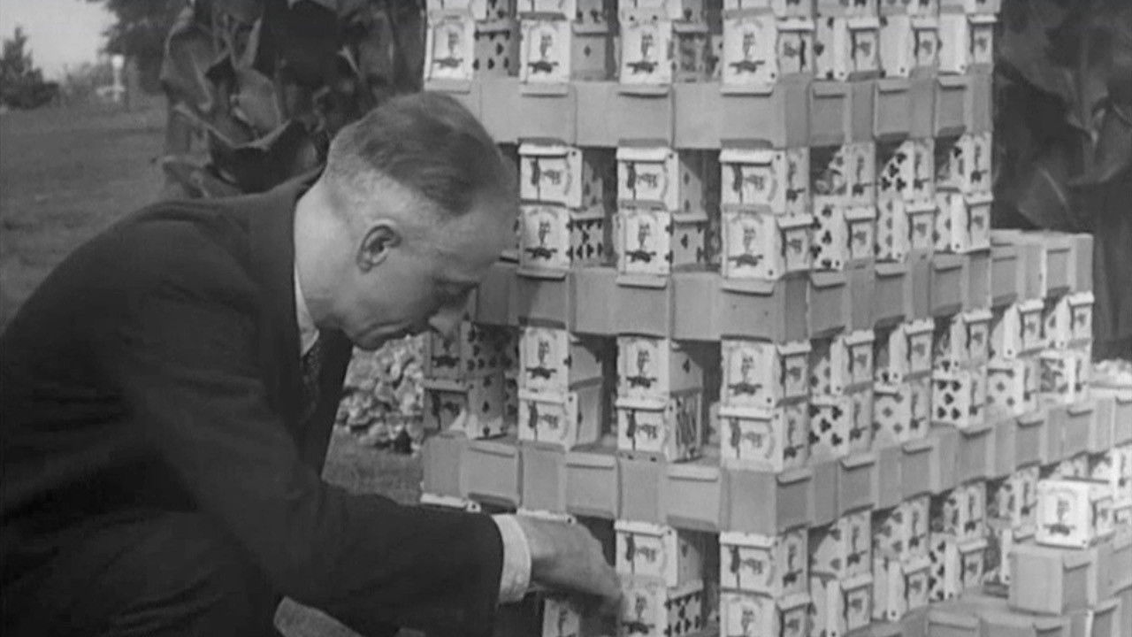 Backdrop for Believe It or Not (Second Series) #2