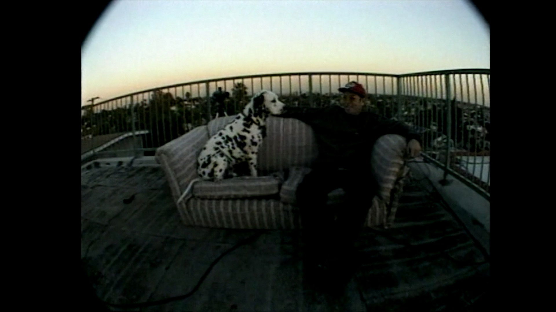 Backdrop for Sublime | Stories, Tales, Lies & Exaggerations