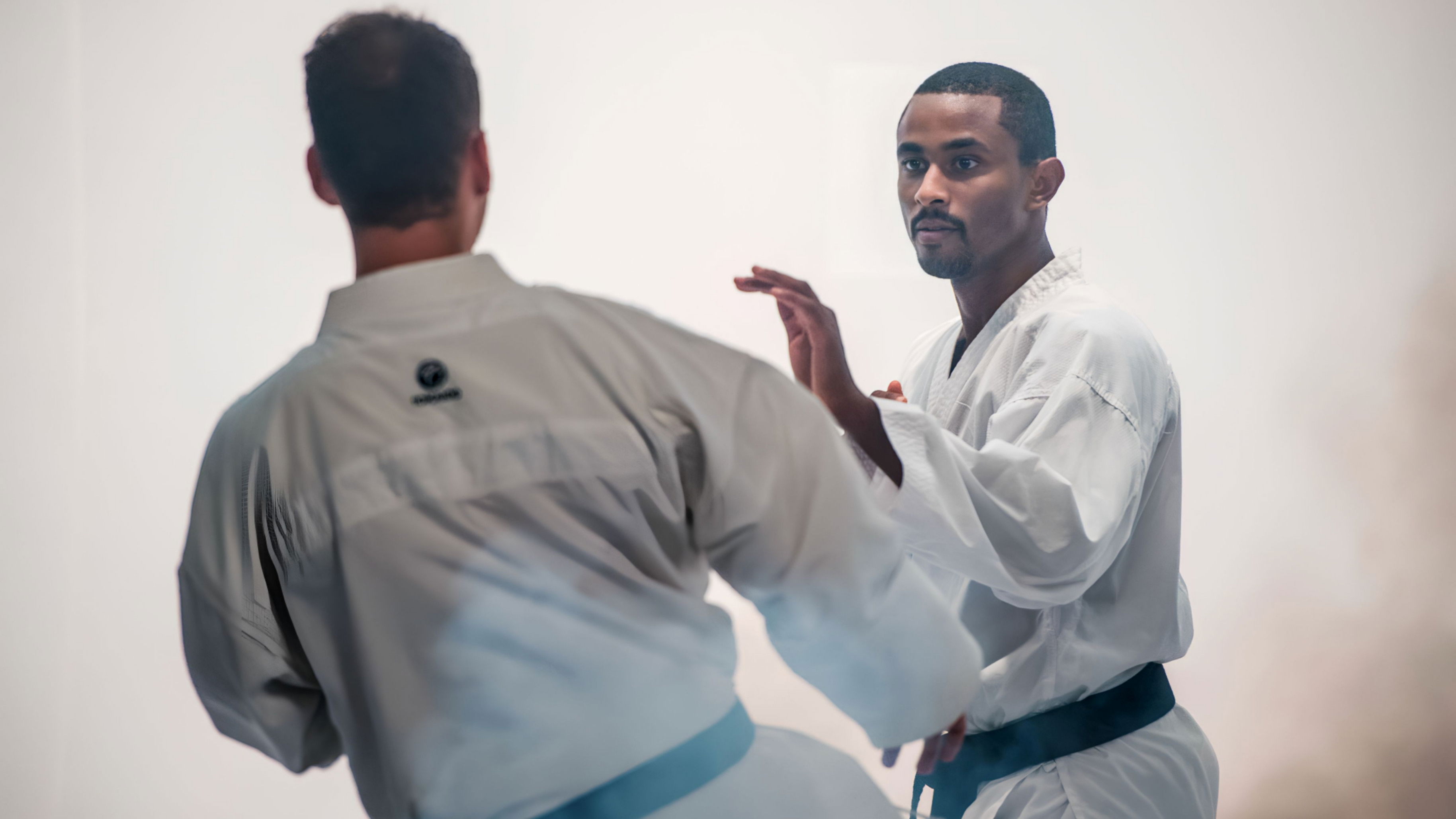 Backdrop for Diego San