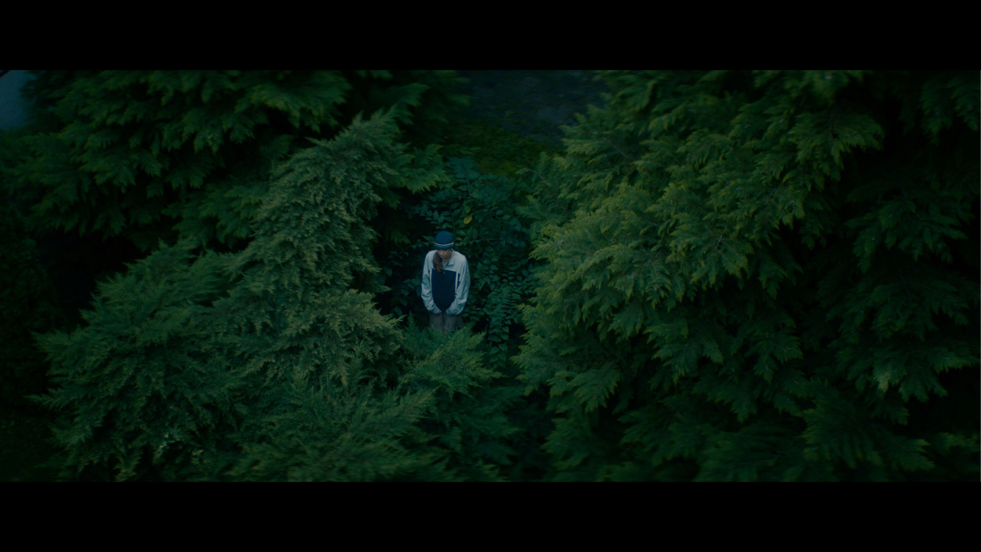 Backdrop for The Silent Treatment