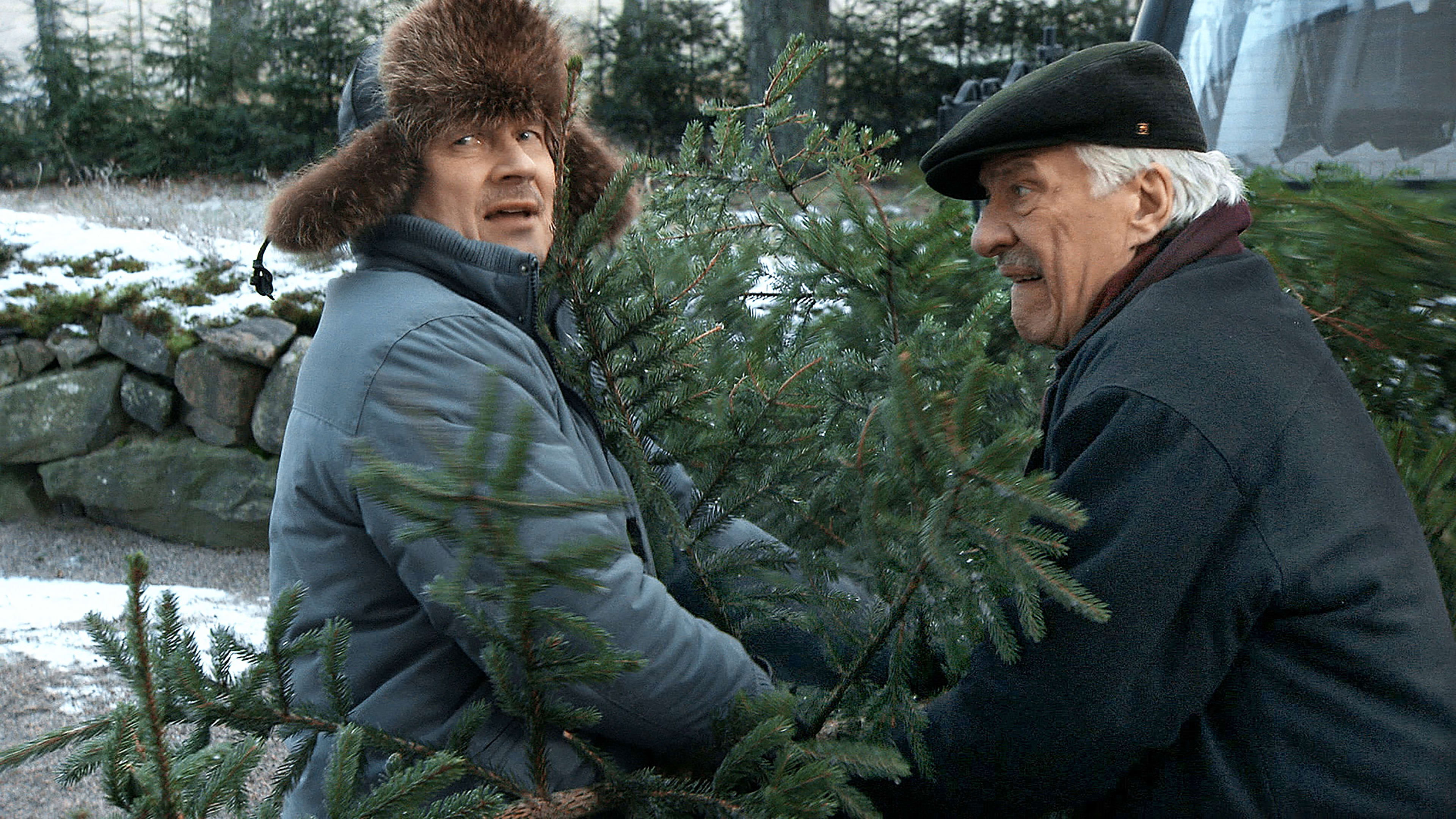 Backdrop for Joulukuusivarkaat