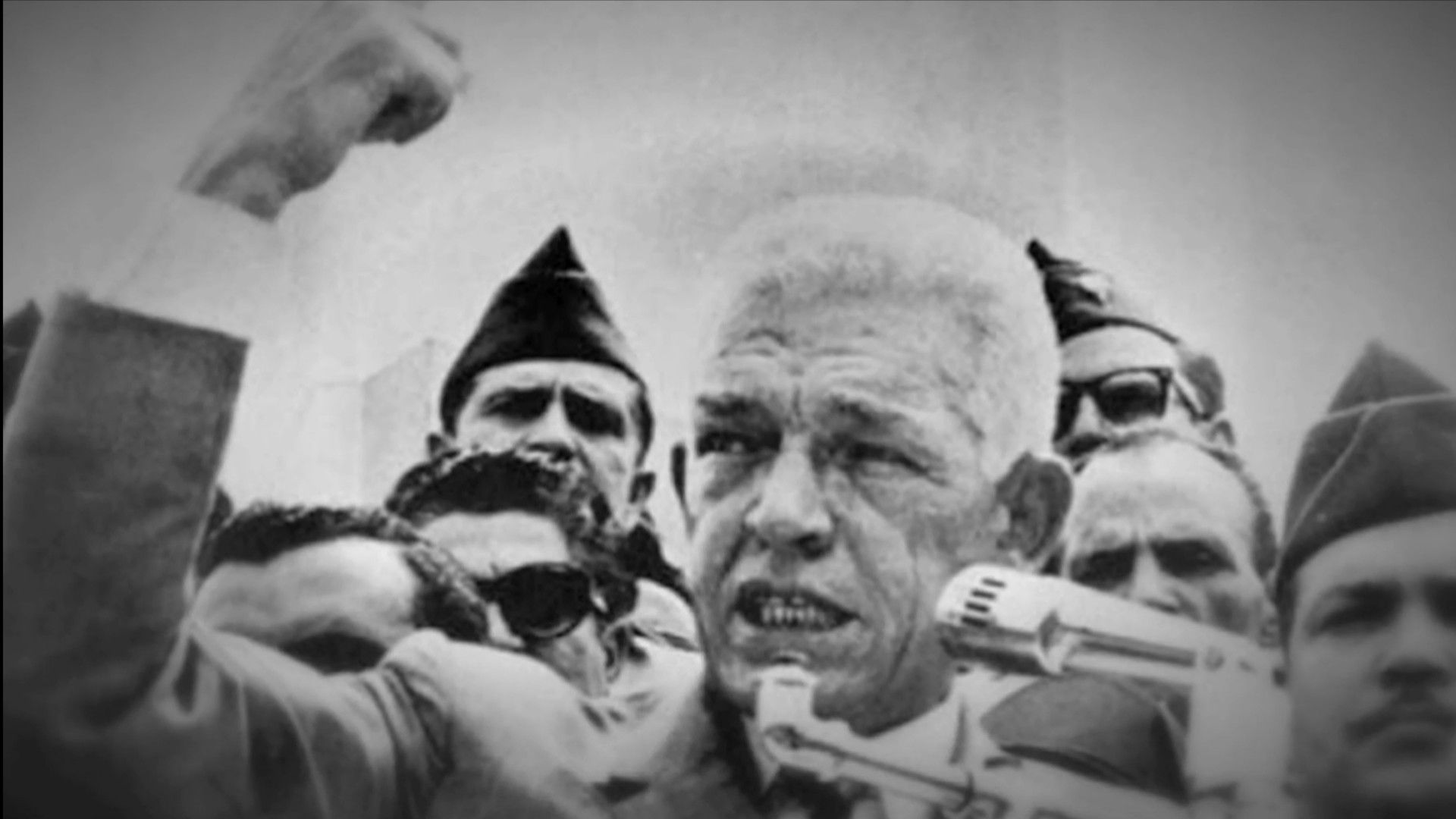 Backdrop for 7 meses y un Gaviño