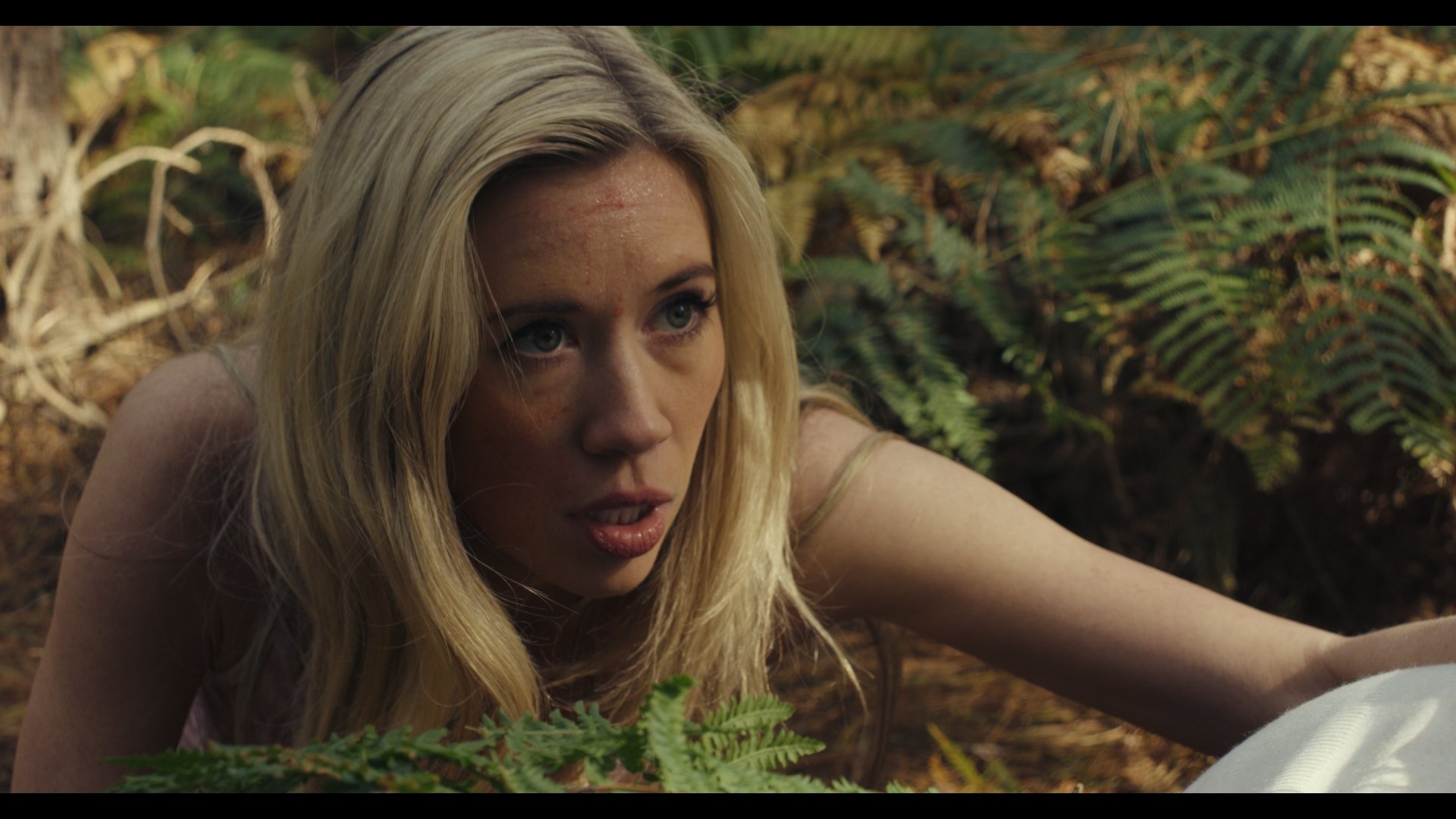 Backdrop for The Final Scream