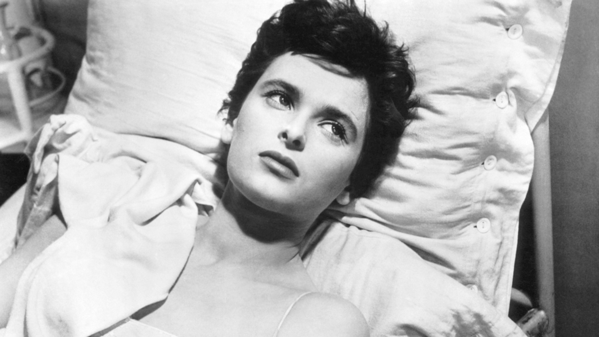 Backdrop for Rome 11:00