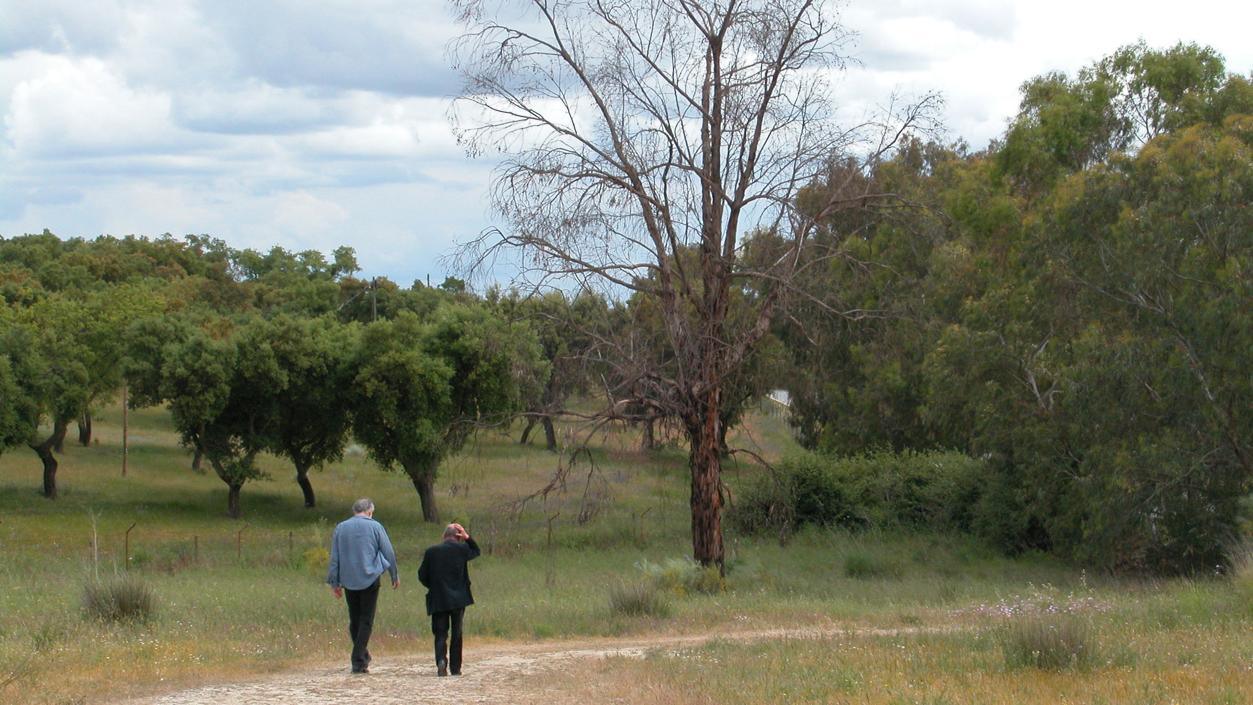 Backdrop for Michael Biberstein - My Friend Mike at Work