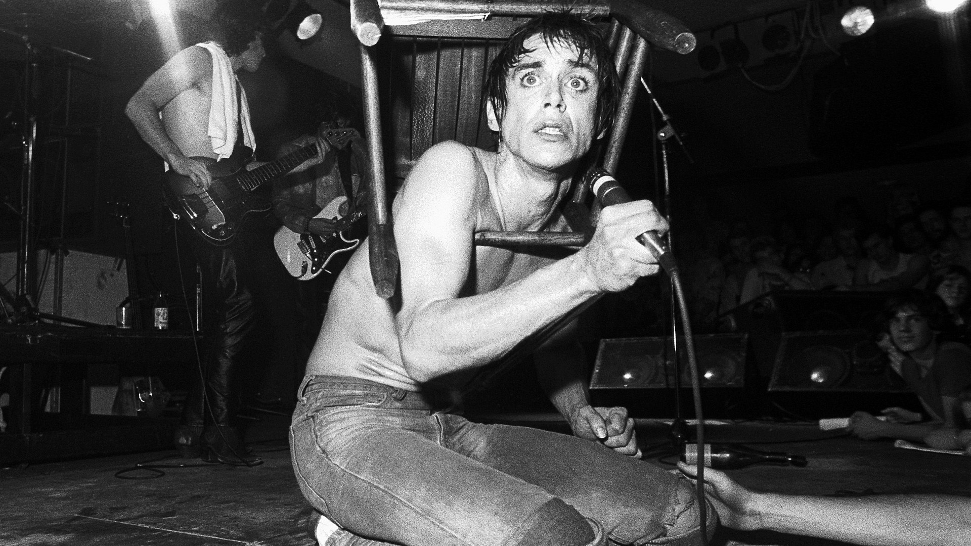 Backdrop for Iggy Pop: Live San Fran 1981