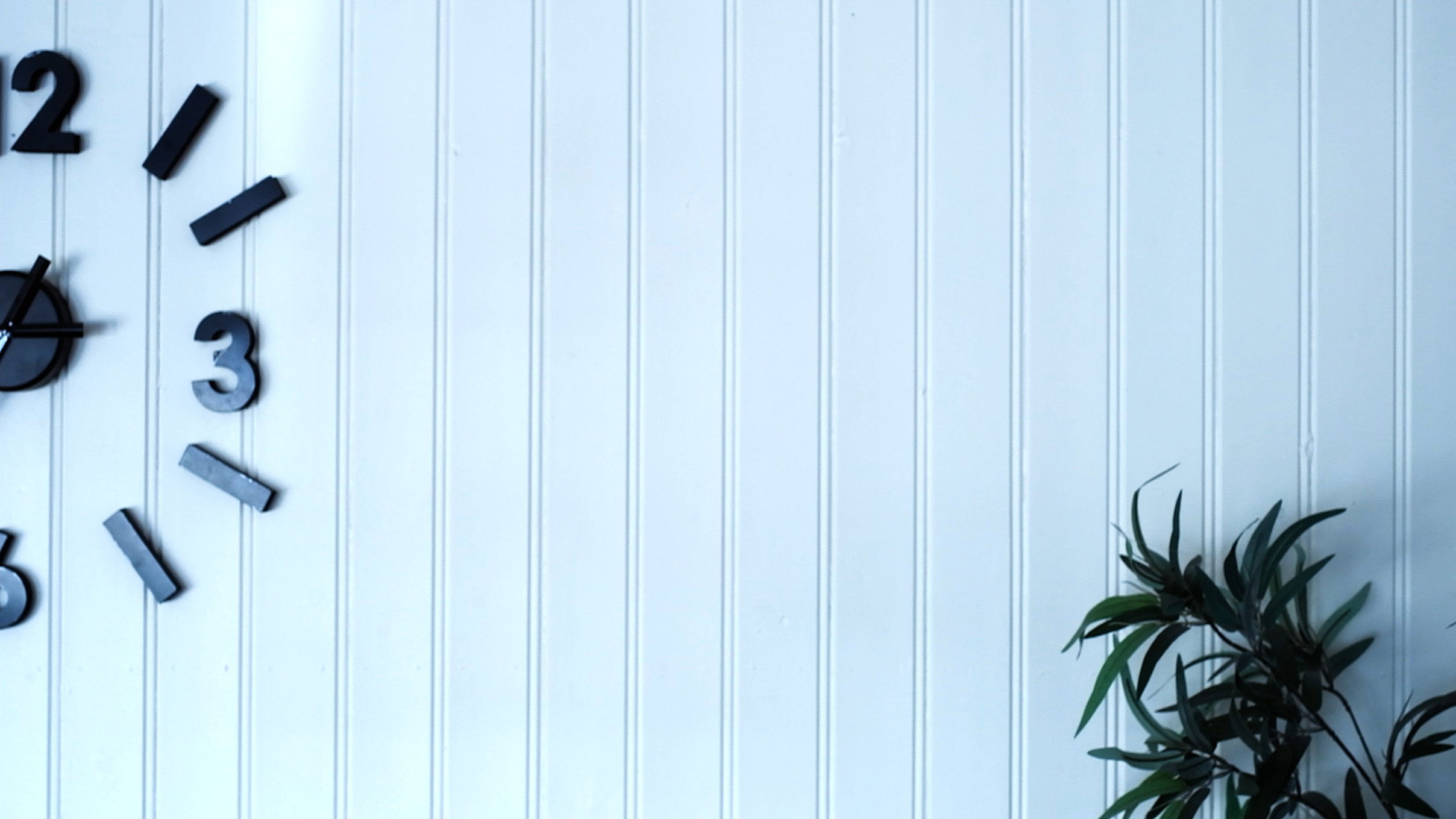 Backdrop for A Fly Up Close