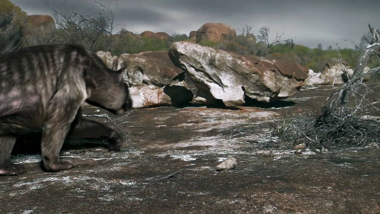 Backdrop for Death of the Megabeasts