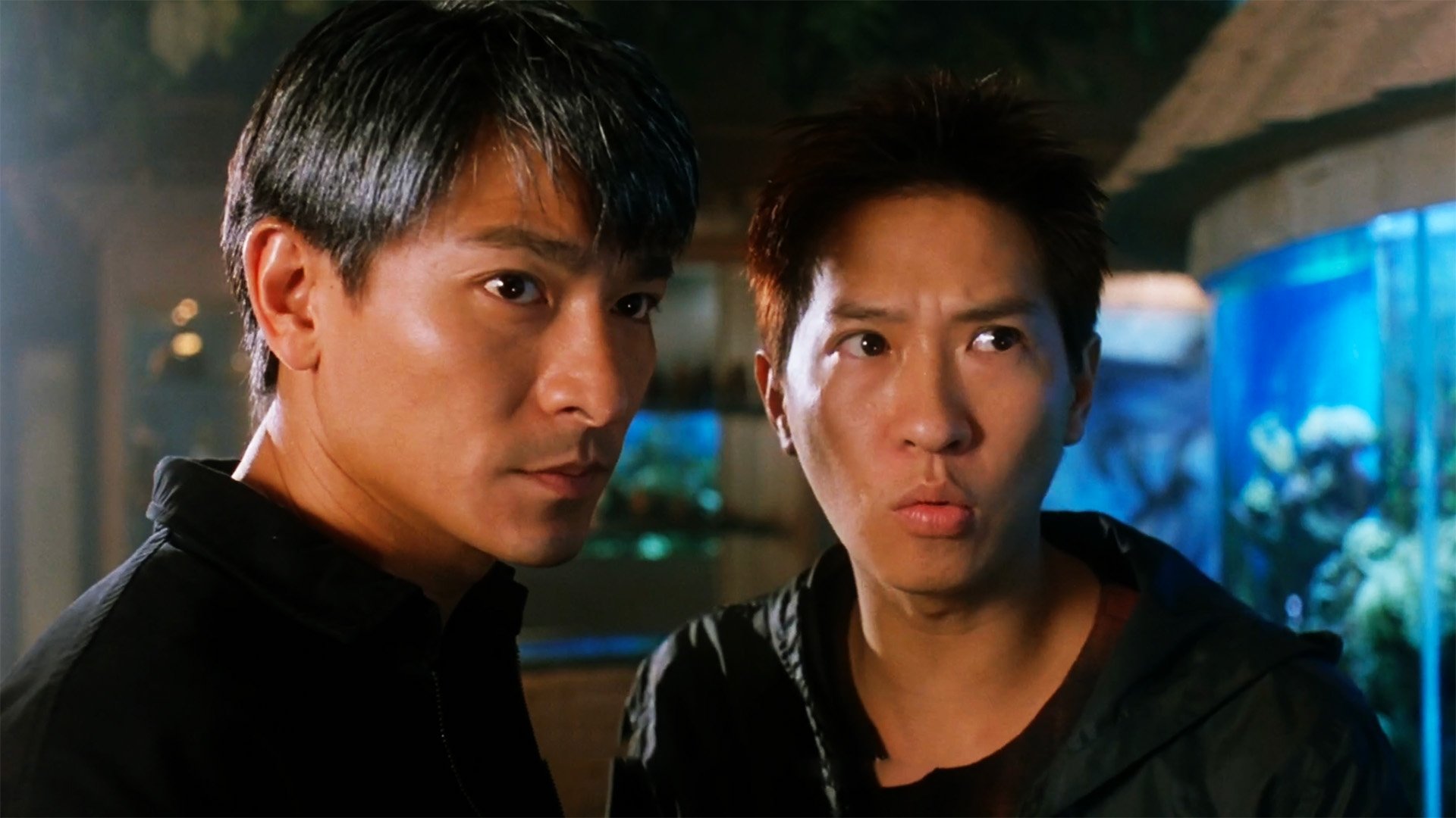 Backdrop for The Conman