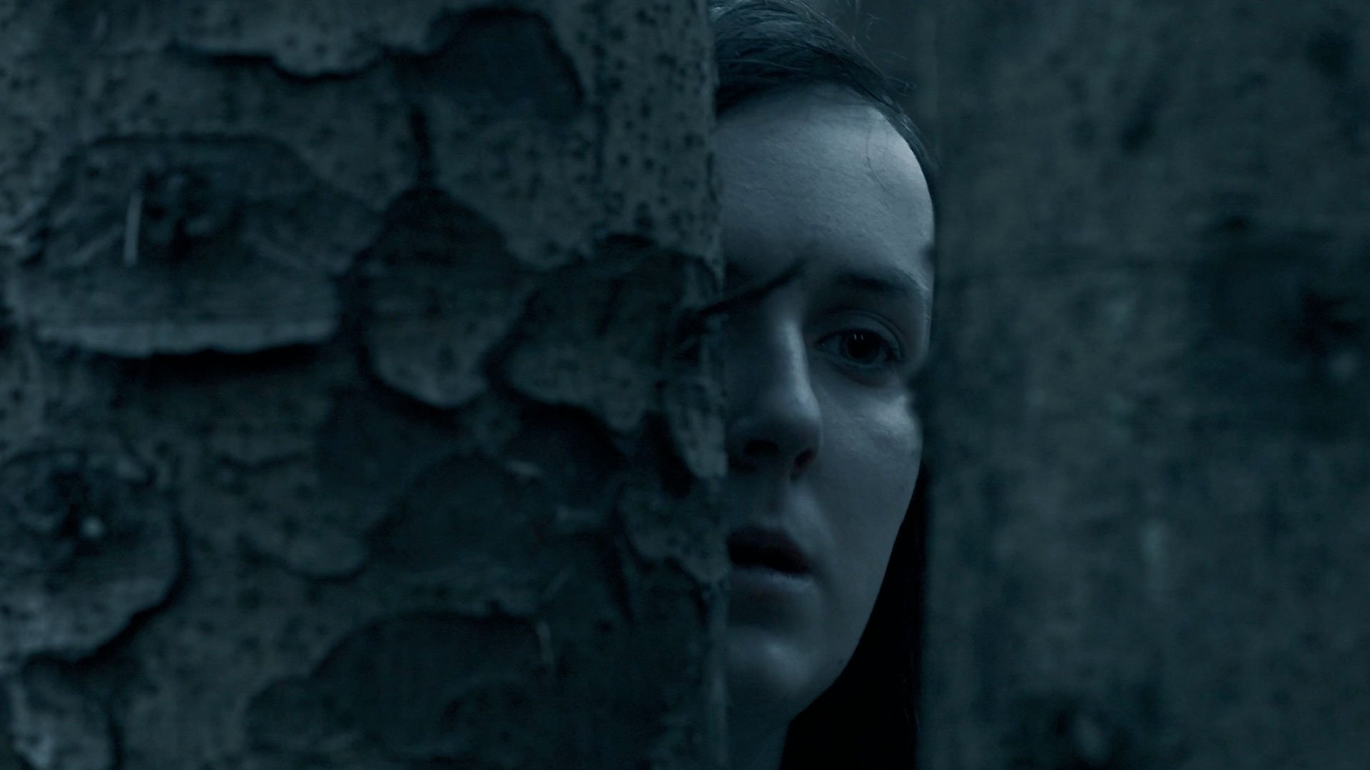 Backdrop for Falach-Fead