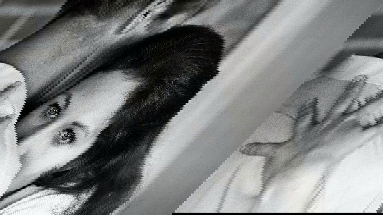 Backdrop for Landing