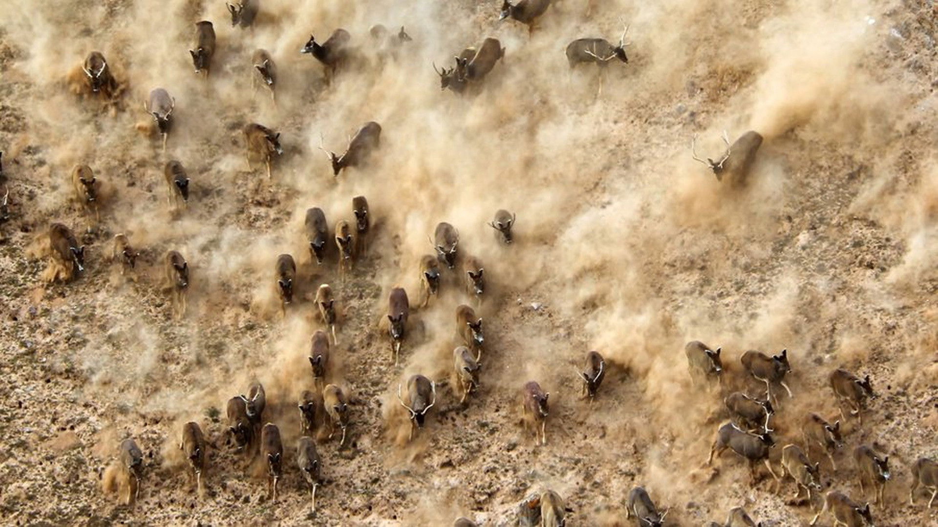 Backdrop for China's Wild Secrets