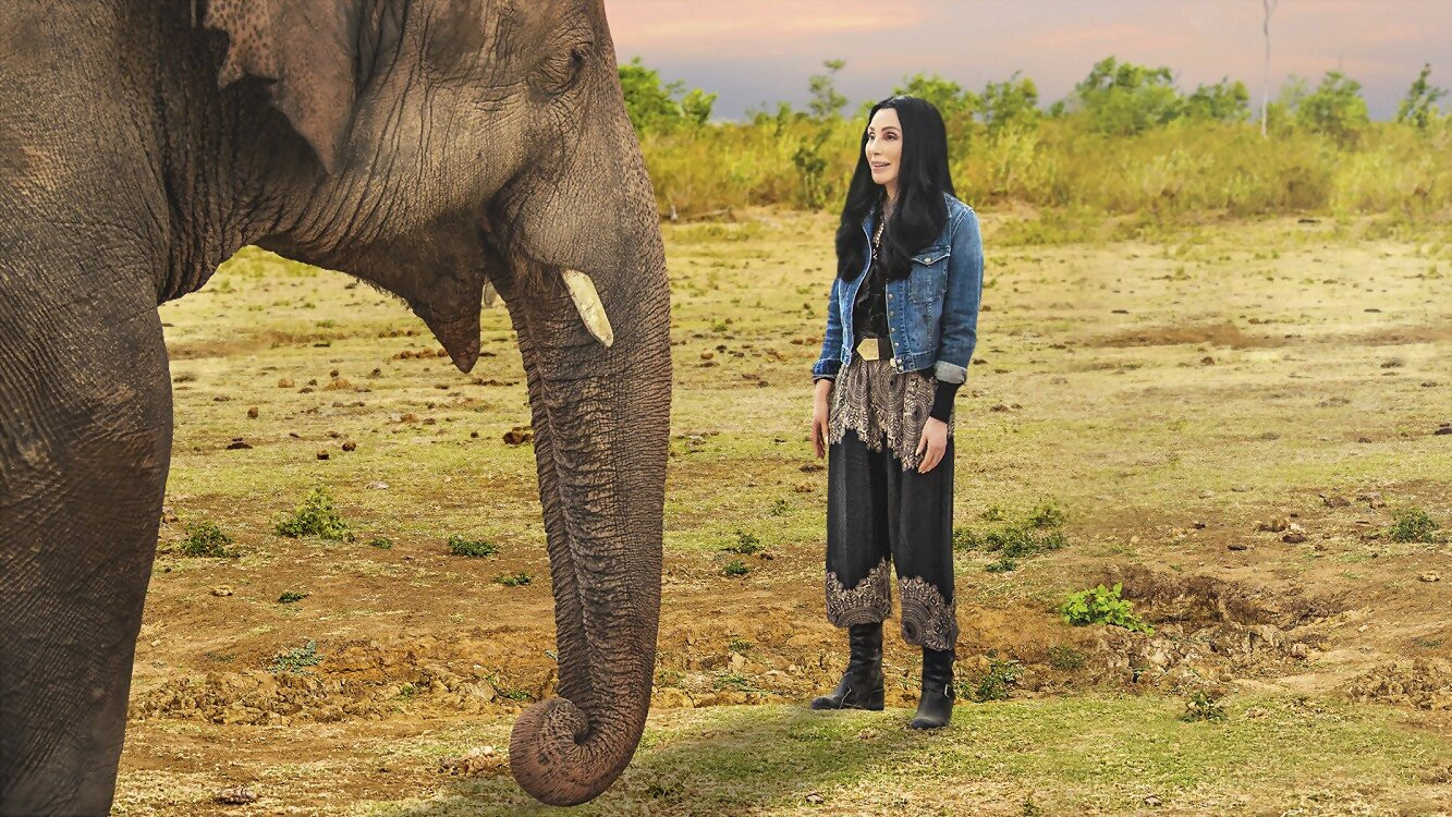 Backdrop for Cher & the Loneliest Elephant