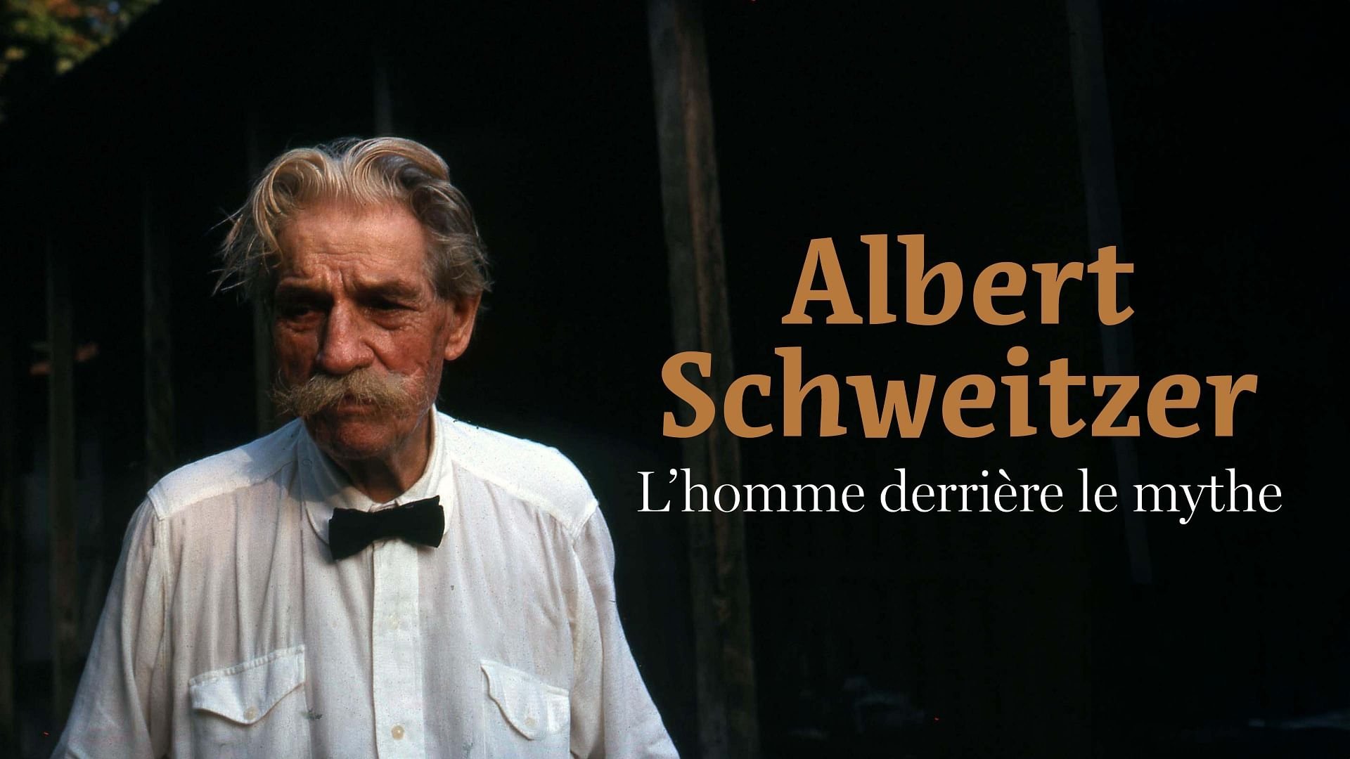 Backdrop for Albert Schweitzer - The Man Behind the Myth