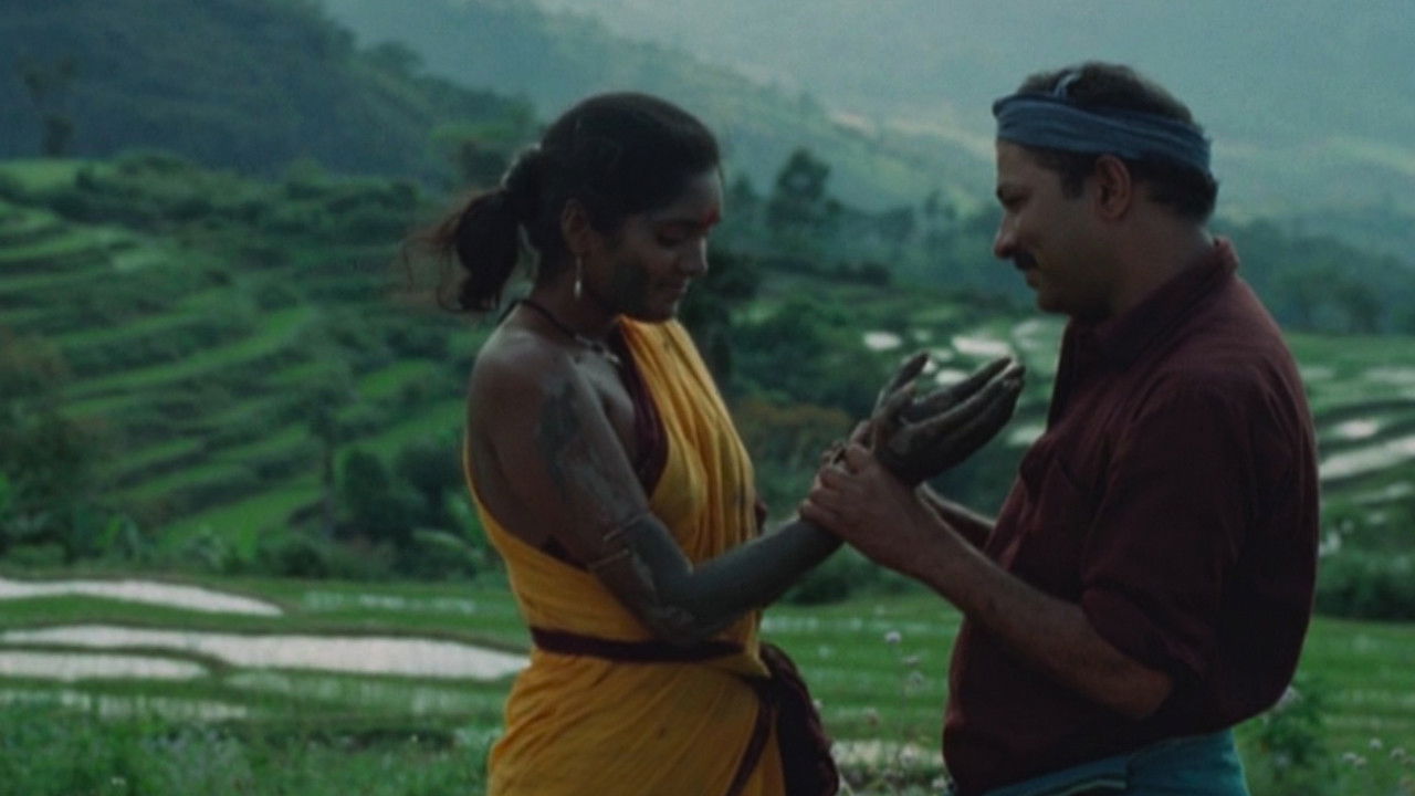 Backdrop for Enchantment