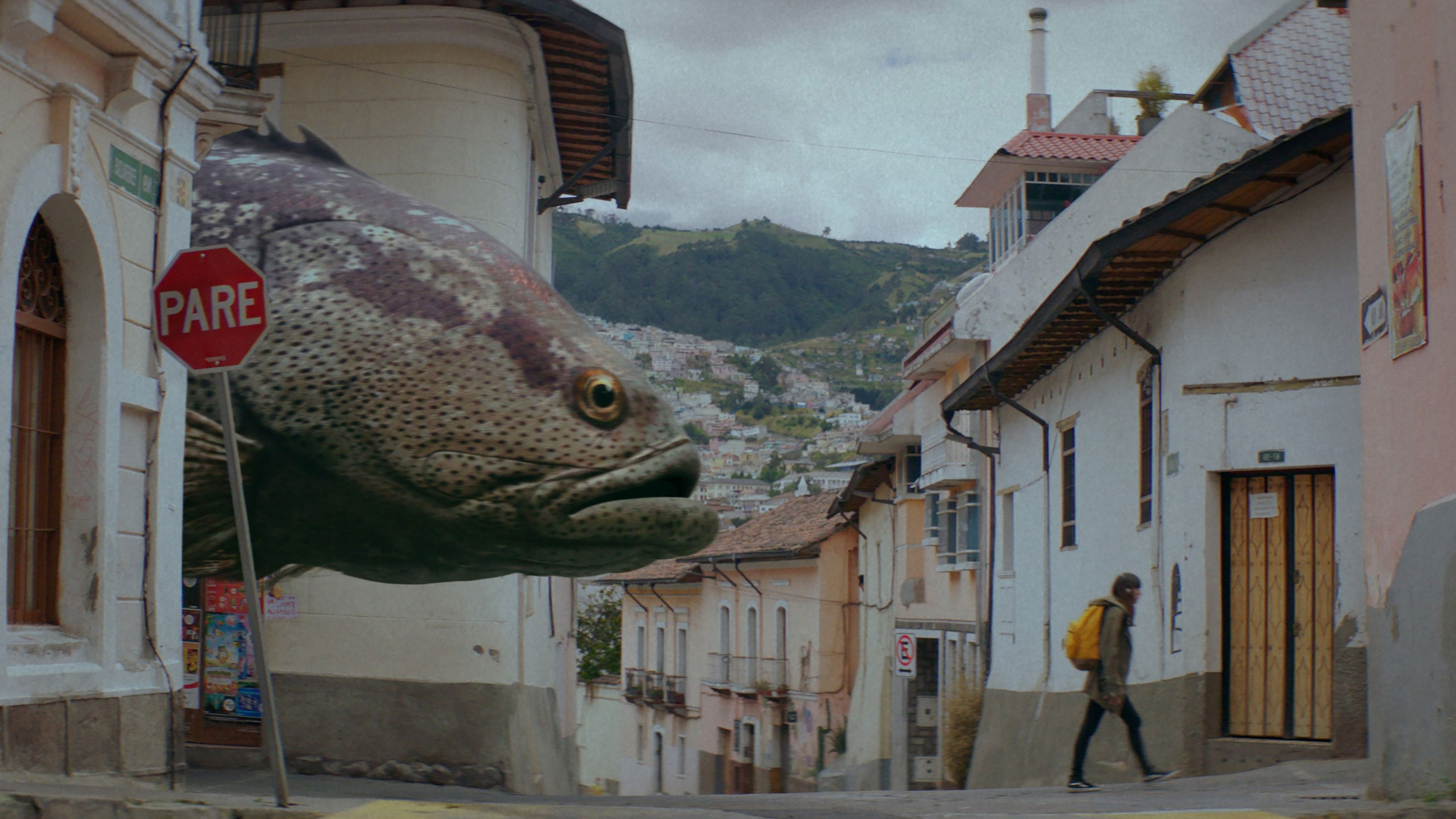 Backdrop for Fishgirl