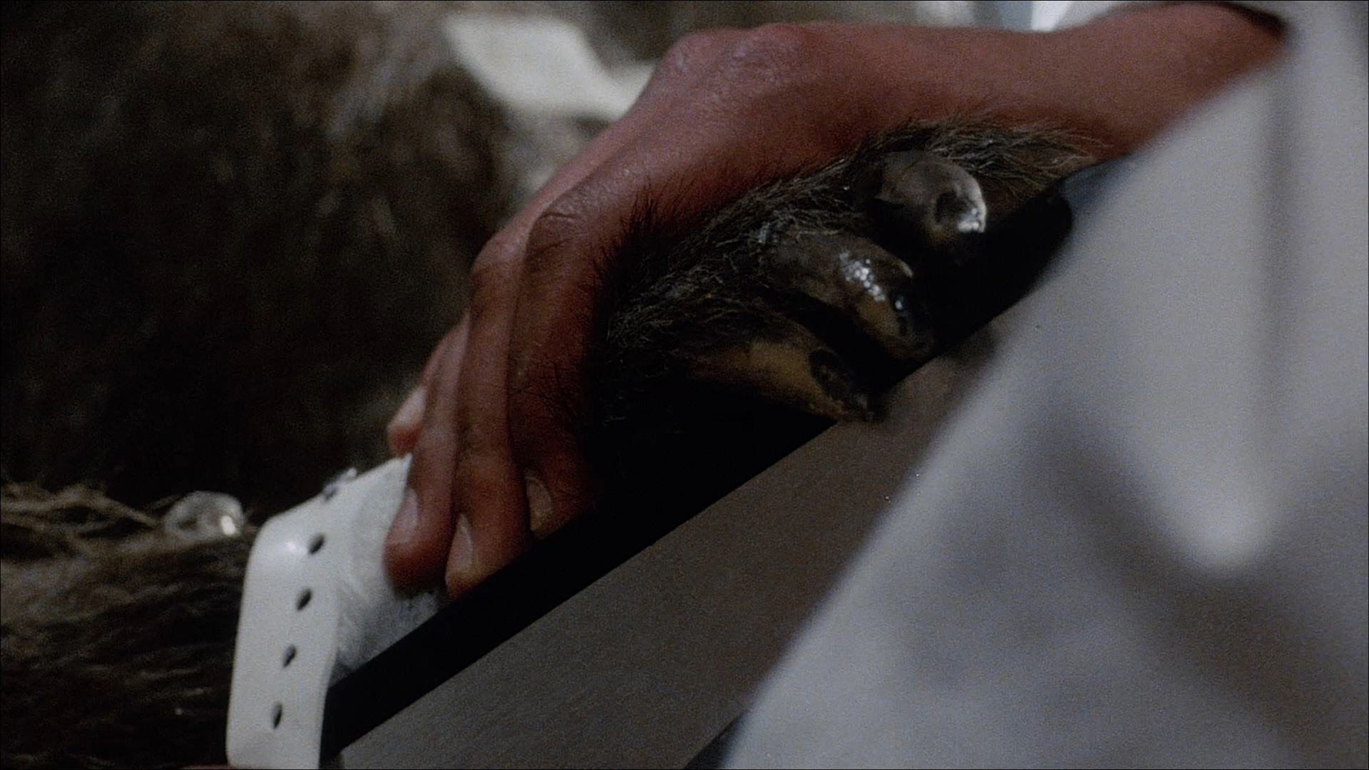 Backdrop for Baboon Bite Maniacs! - "Primal Rage" 35 Years Later