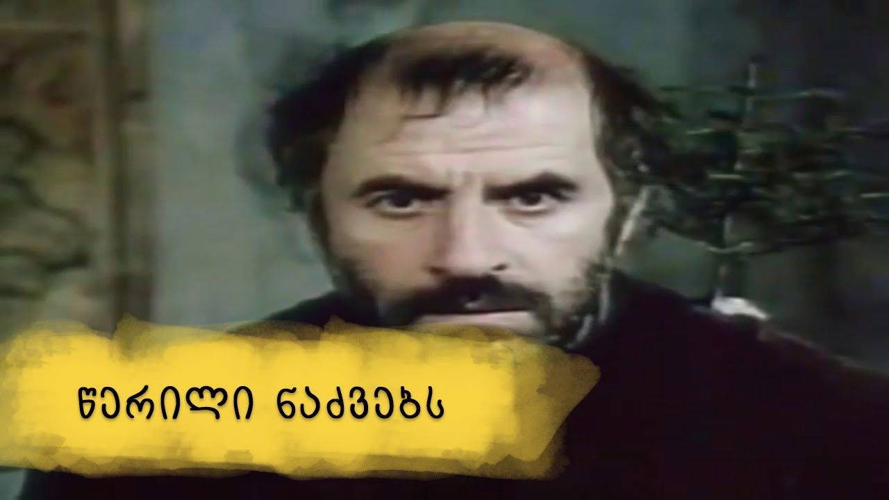 Backdrop for A Letter to Fir Trees