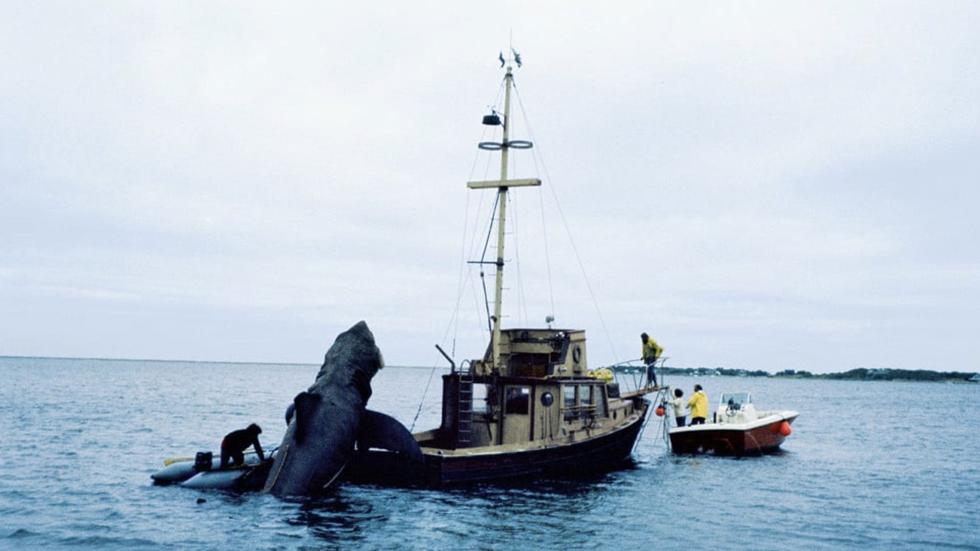 Backdrop for In the Teeth of Jaws