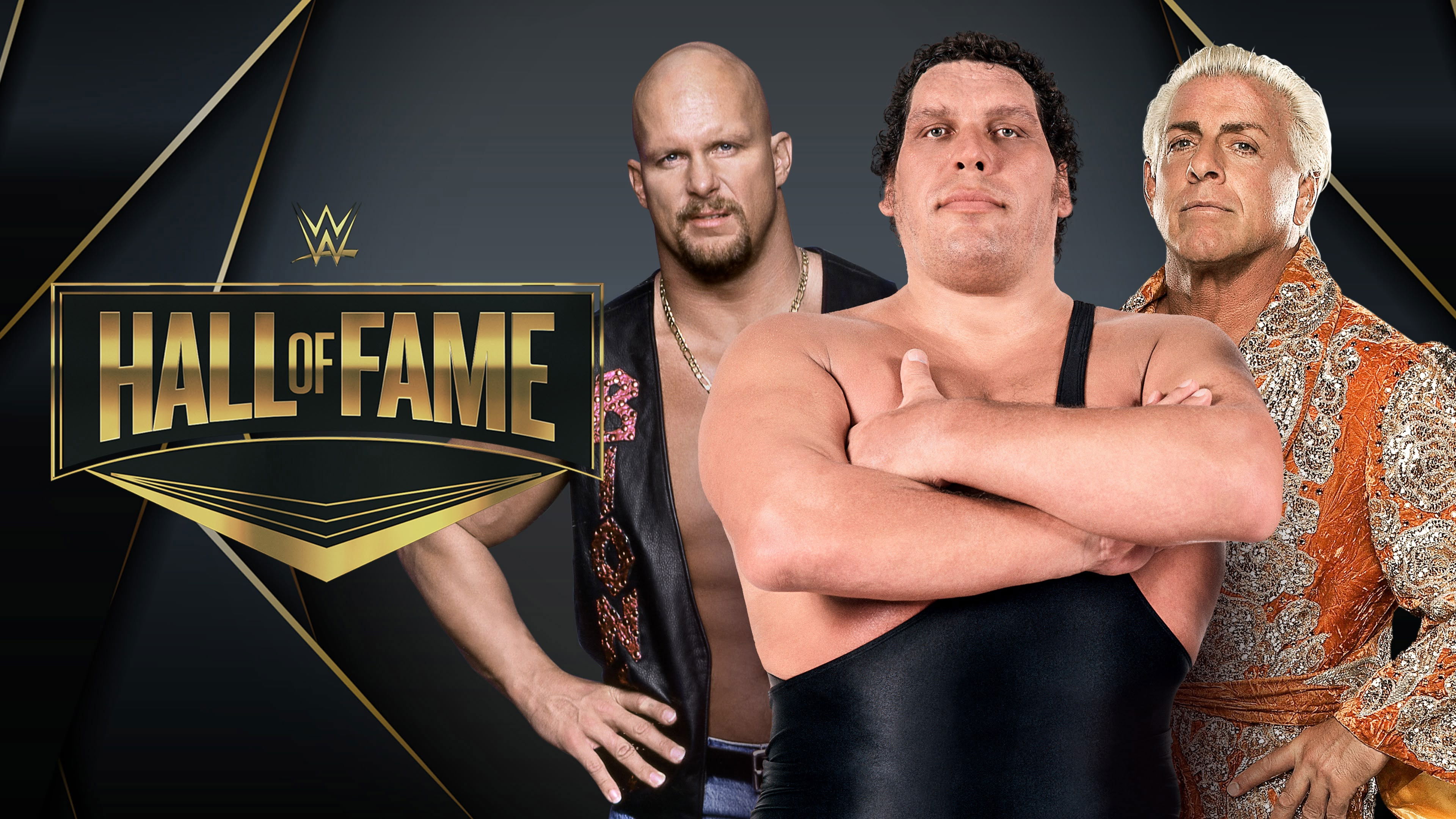 Backdrop for WWE Hall Of Fame 2009
