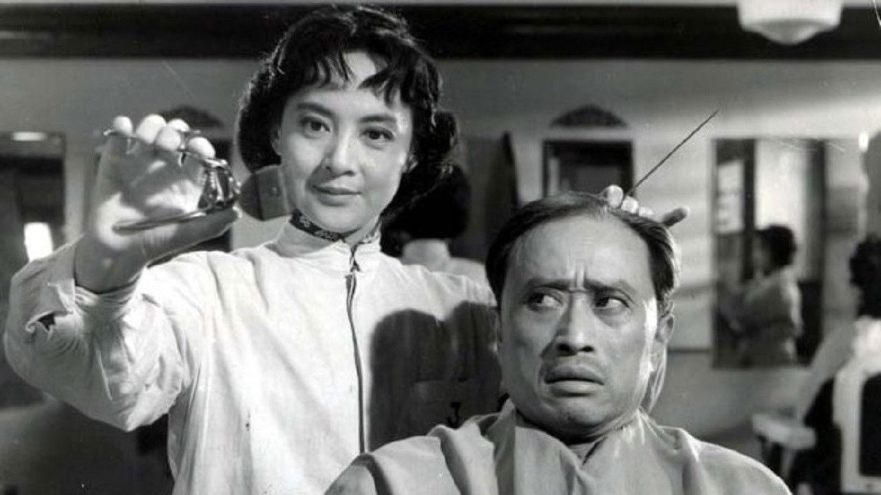 Backdrop for Woman Hairdresser