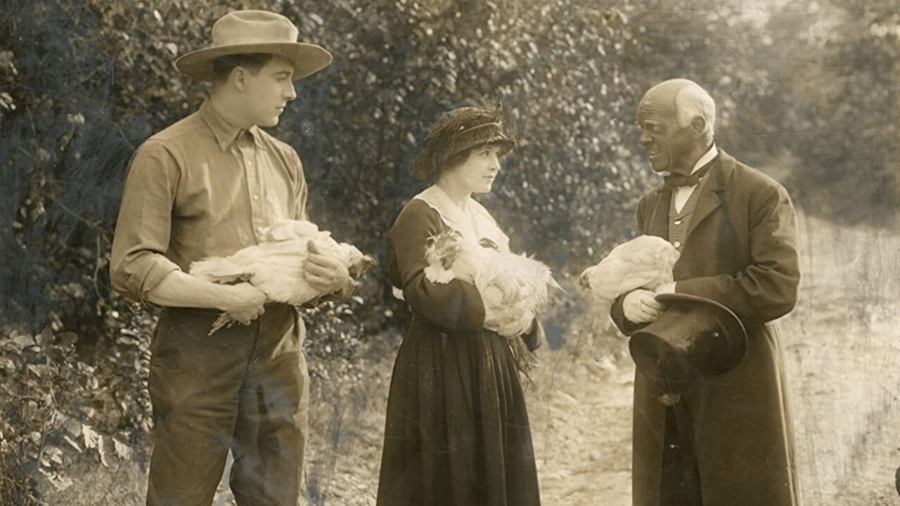 Backdrop for Little Miss Hoover