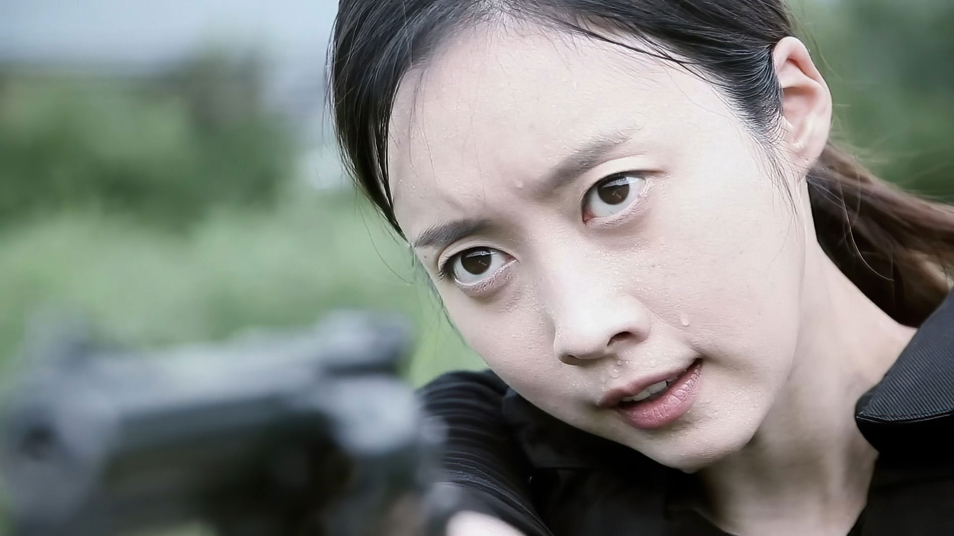 Backdrop for The DMZ