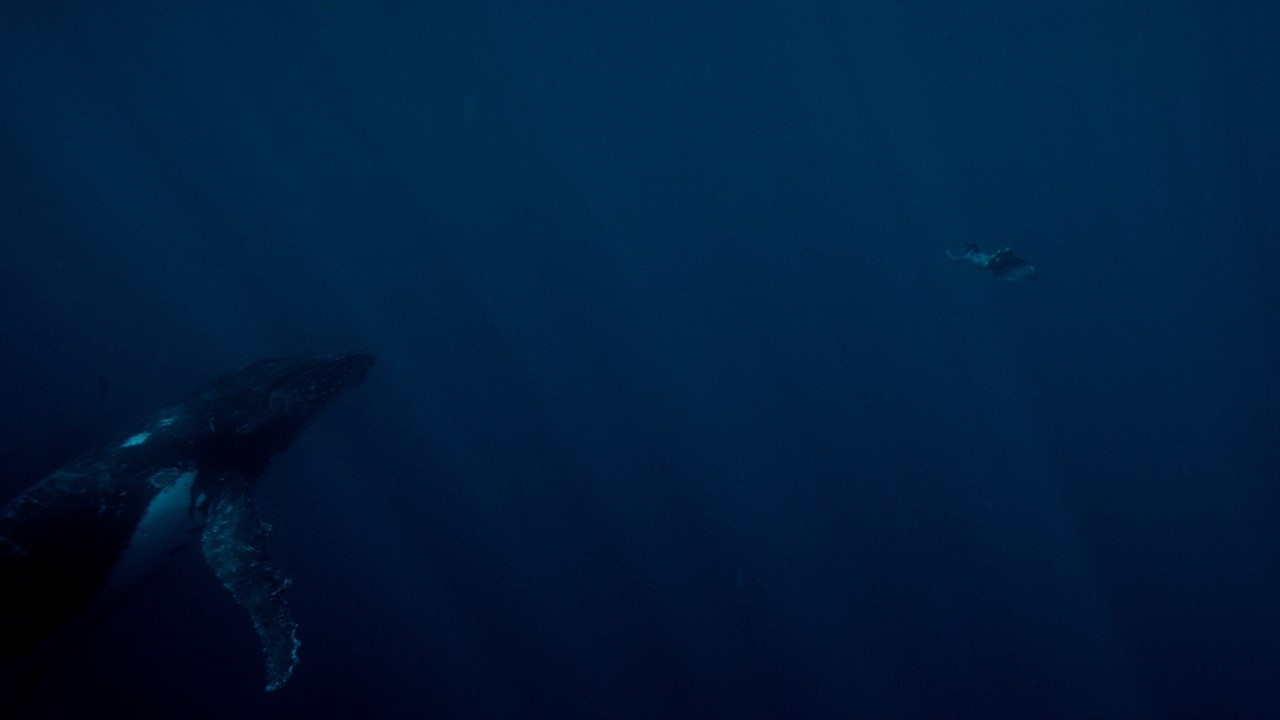 Backdrop for Living on the Threshold