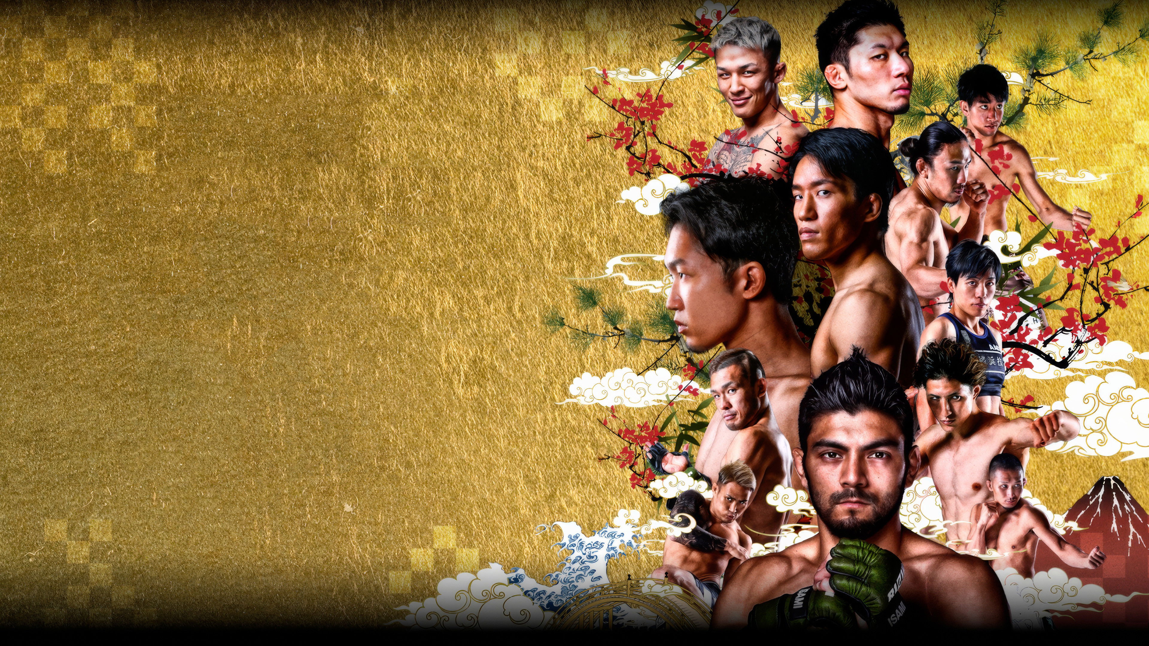 Backdrop for RIZIN 33