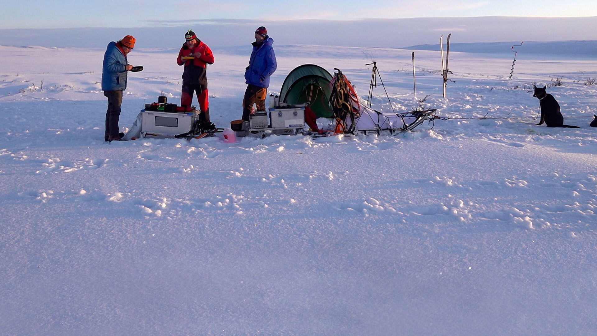 Backdrop for Monsen, Monsen og Mattis