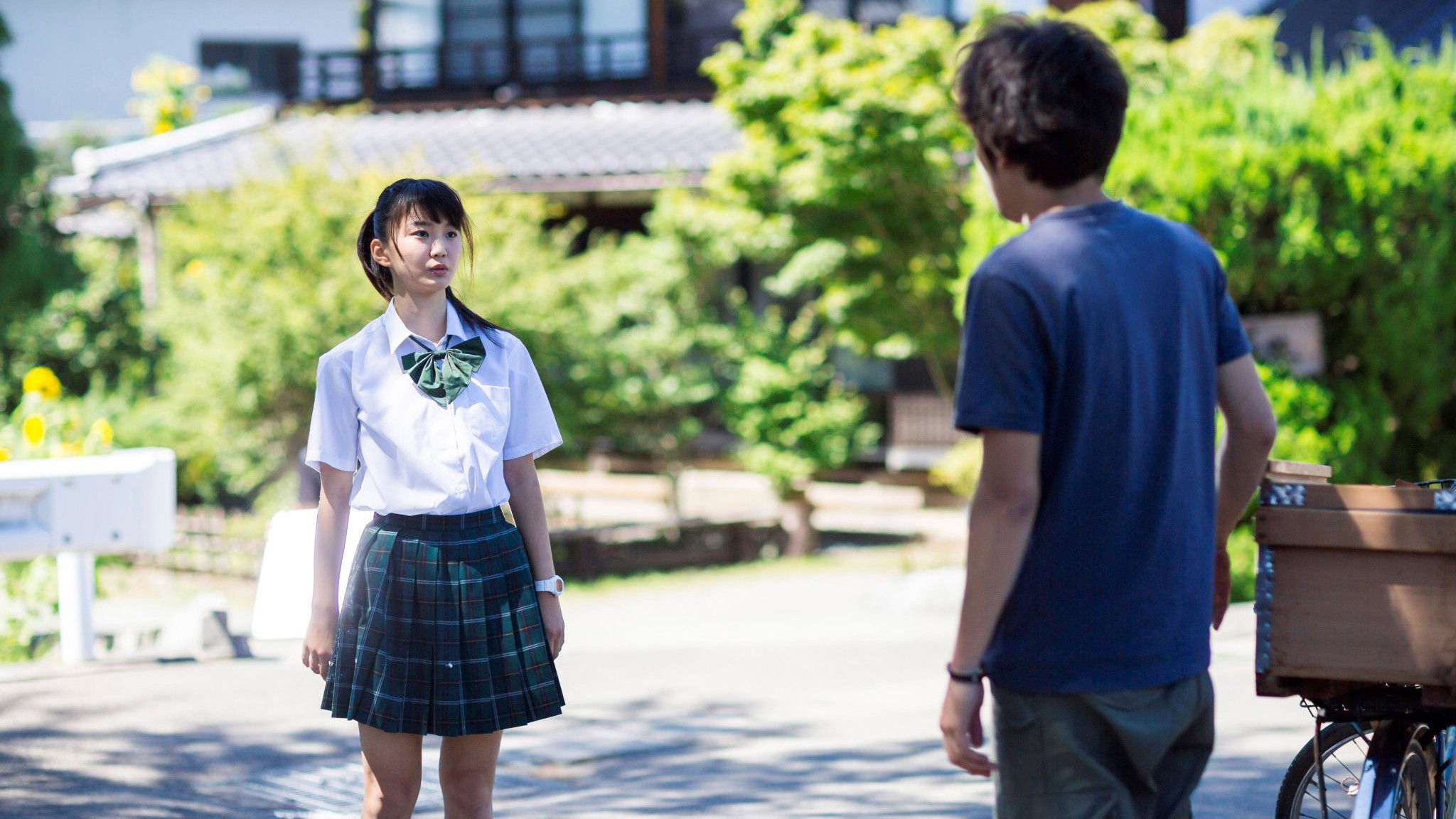 Backdrop for Seventeen, Hokuto Summer