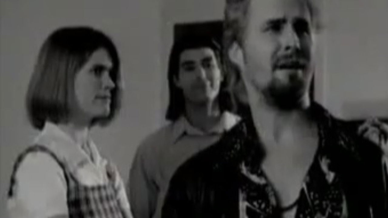 Backdrop for House of Pancakes