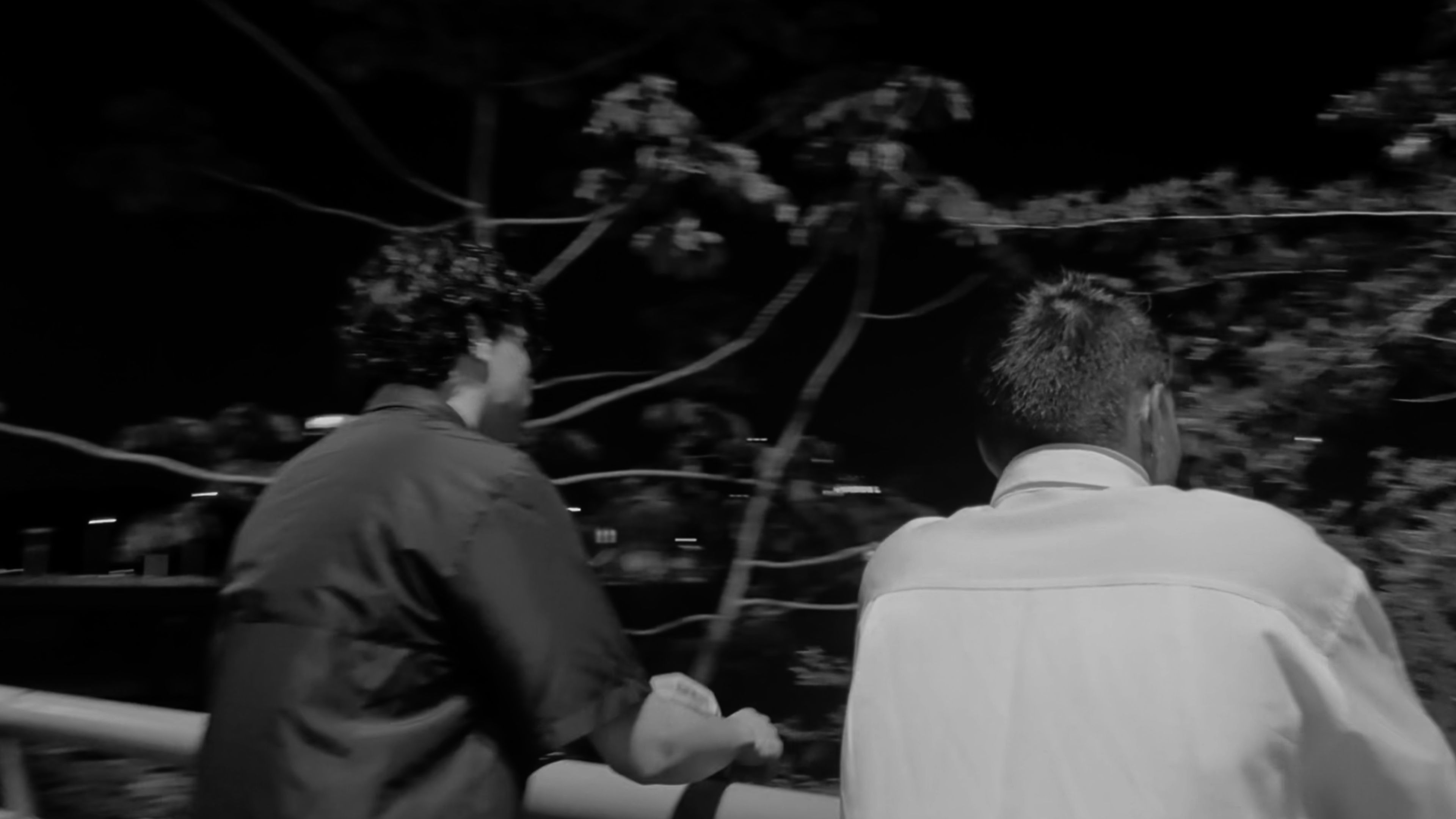 Backdrop for Fortuna Oriental