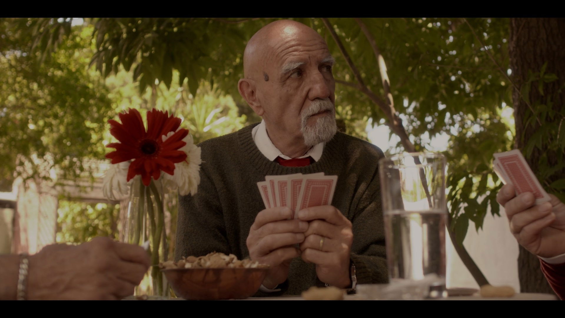 Backdrop for Dama de Corazones