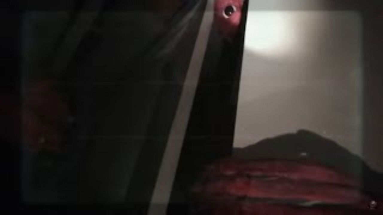 Backdrop for Vita Carnis