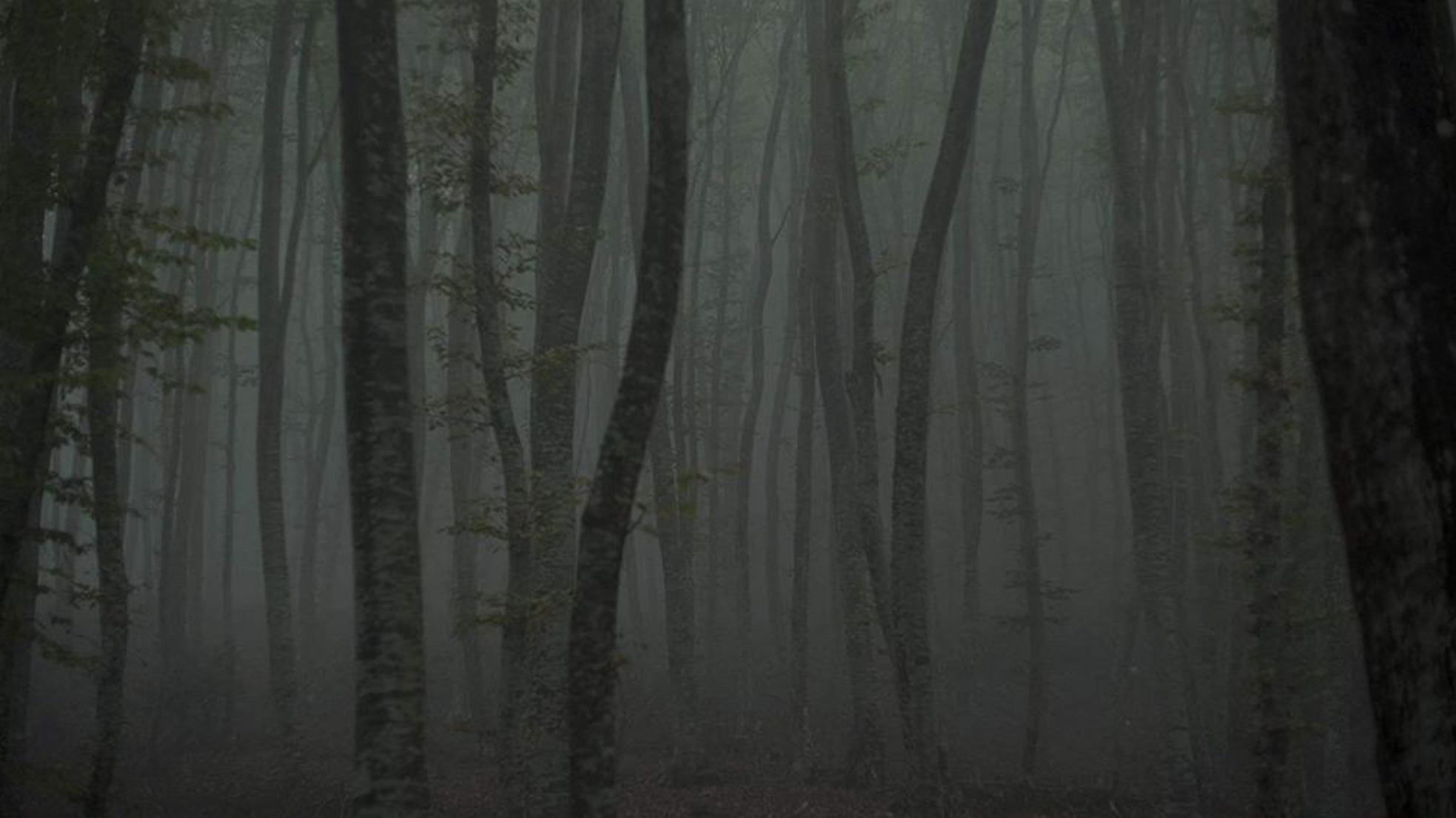 Backdrop for Refuge II: The Ice Path