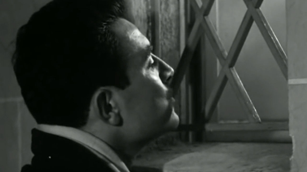 Backdrop for A Toothful Smile