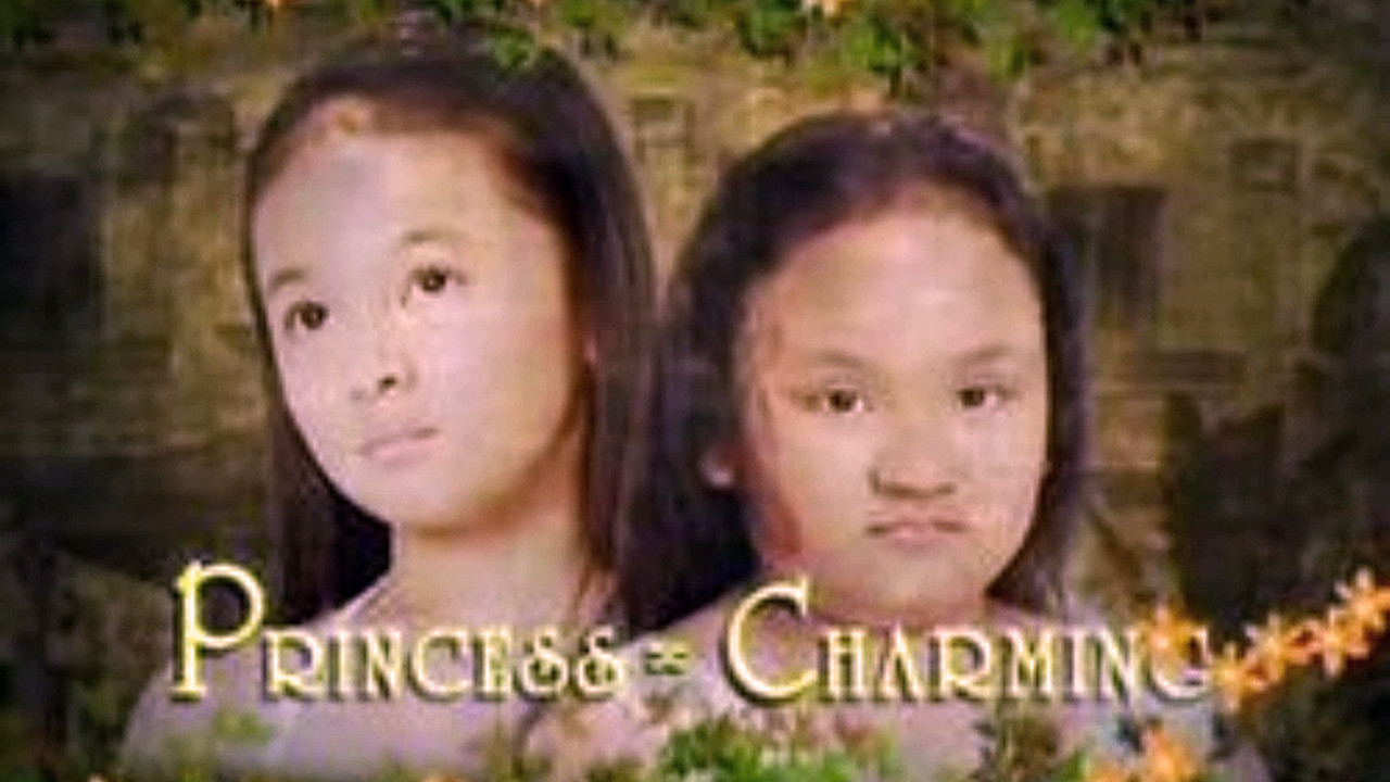 Backdrop for Princess Charming