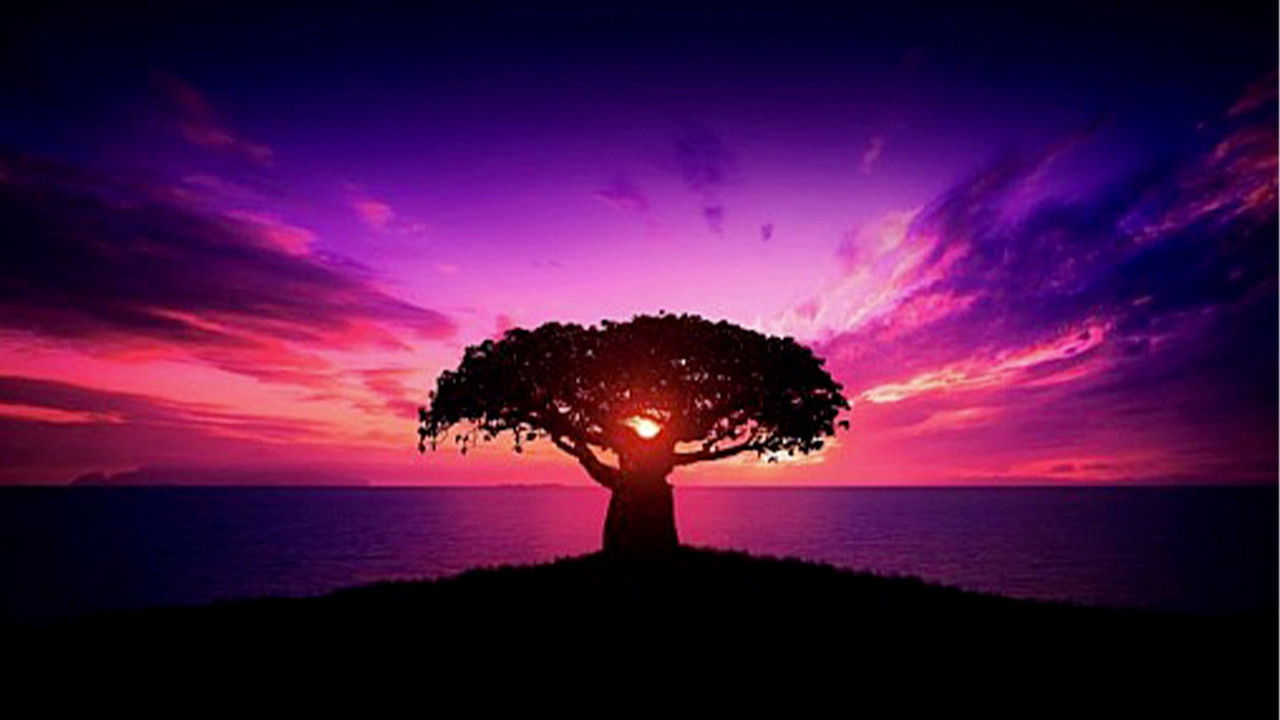 Backdrop for Dis-moi ta classe je te dirai qui tuer