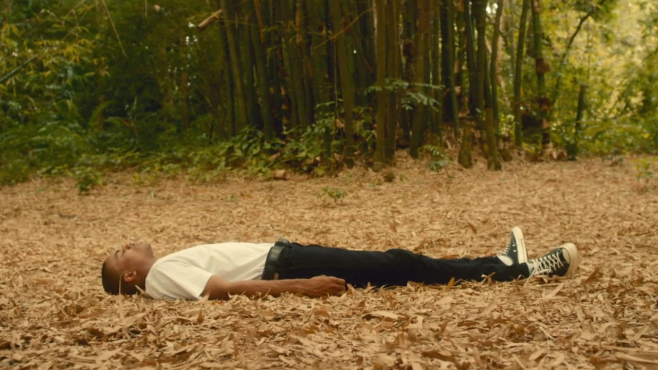 Backdrop for Prima Donna