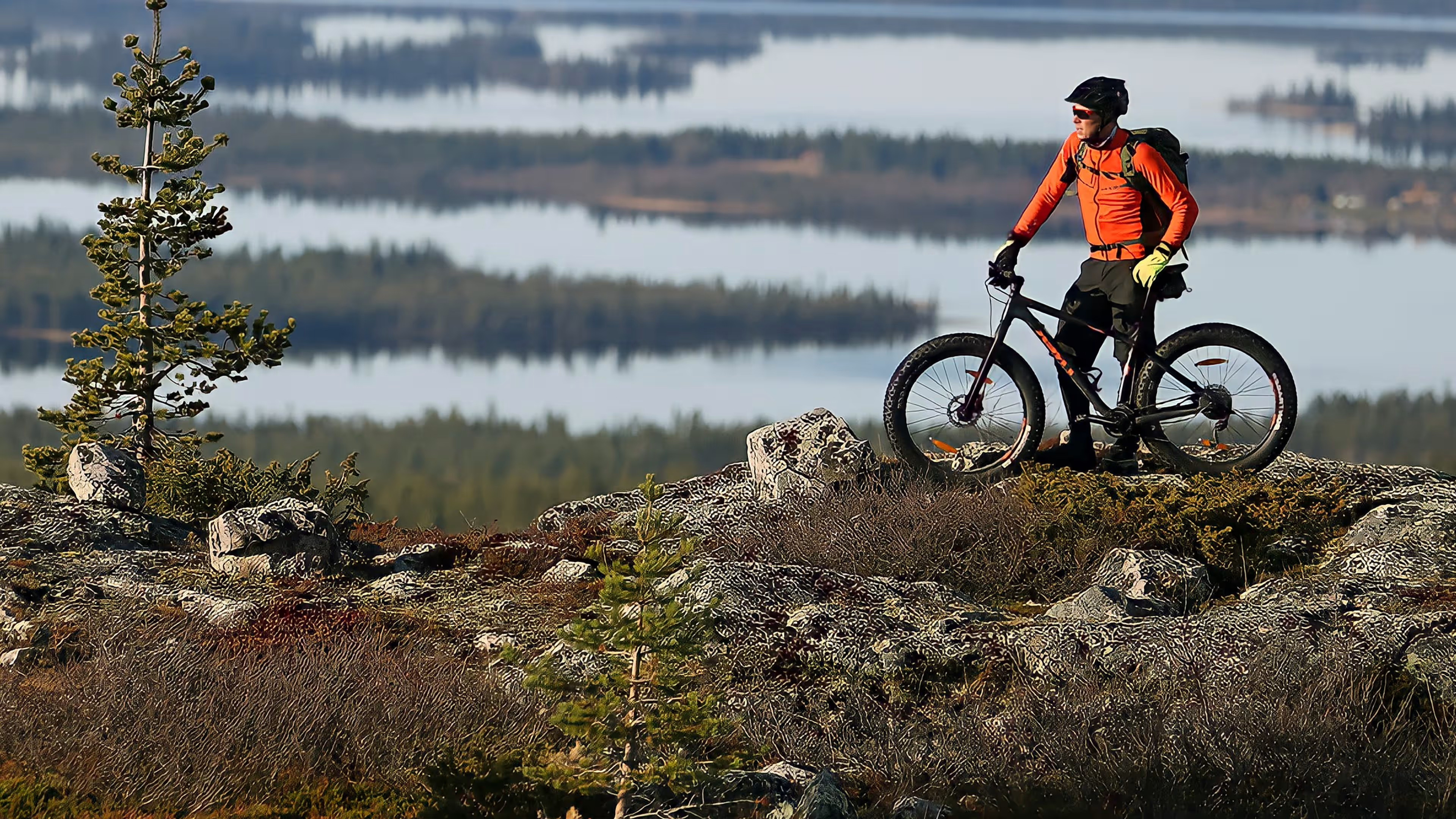 Backdrop for Peltsin Lappi
