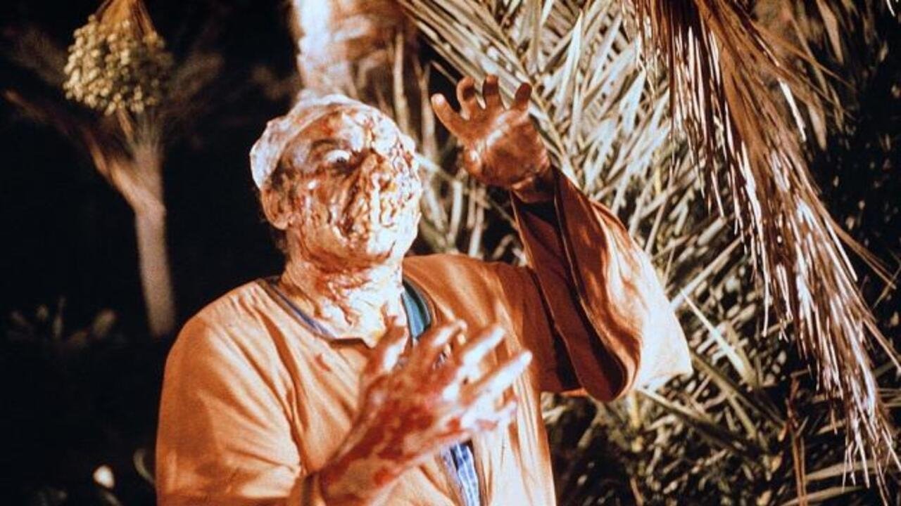 Backdrop for Dawn of the Mummy