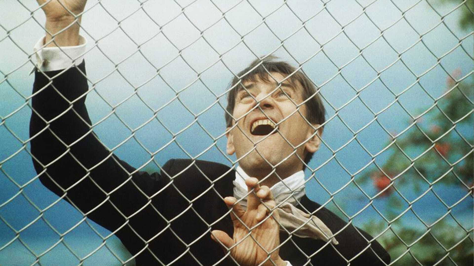 Backdrop for Pimennys