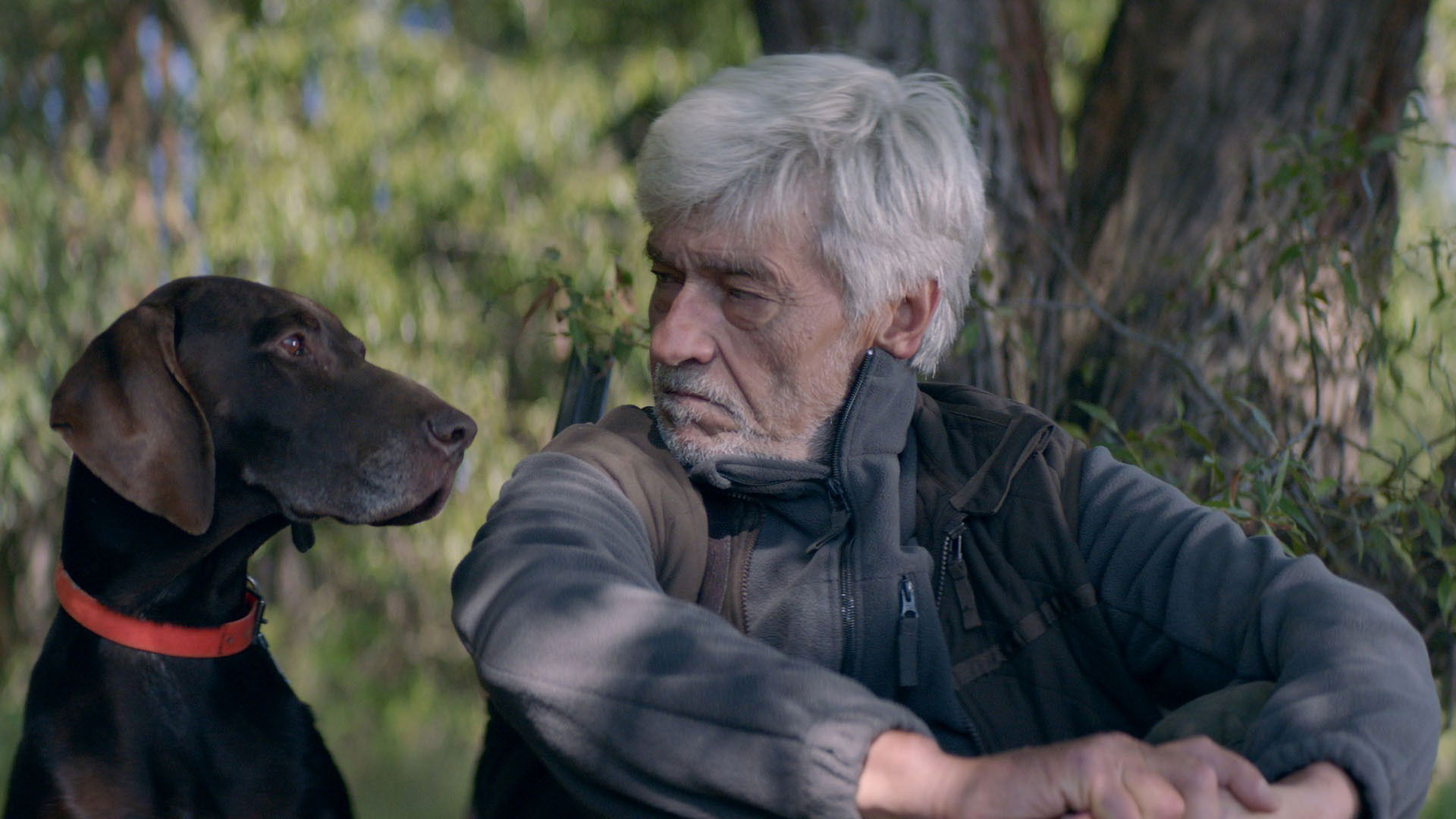 Backdrop for The Trap