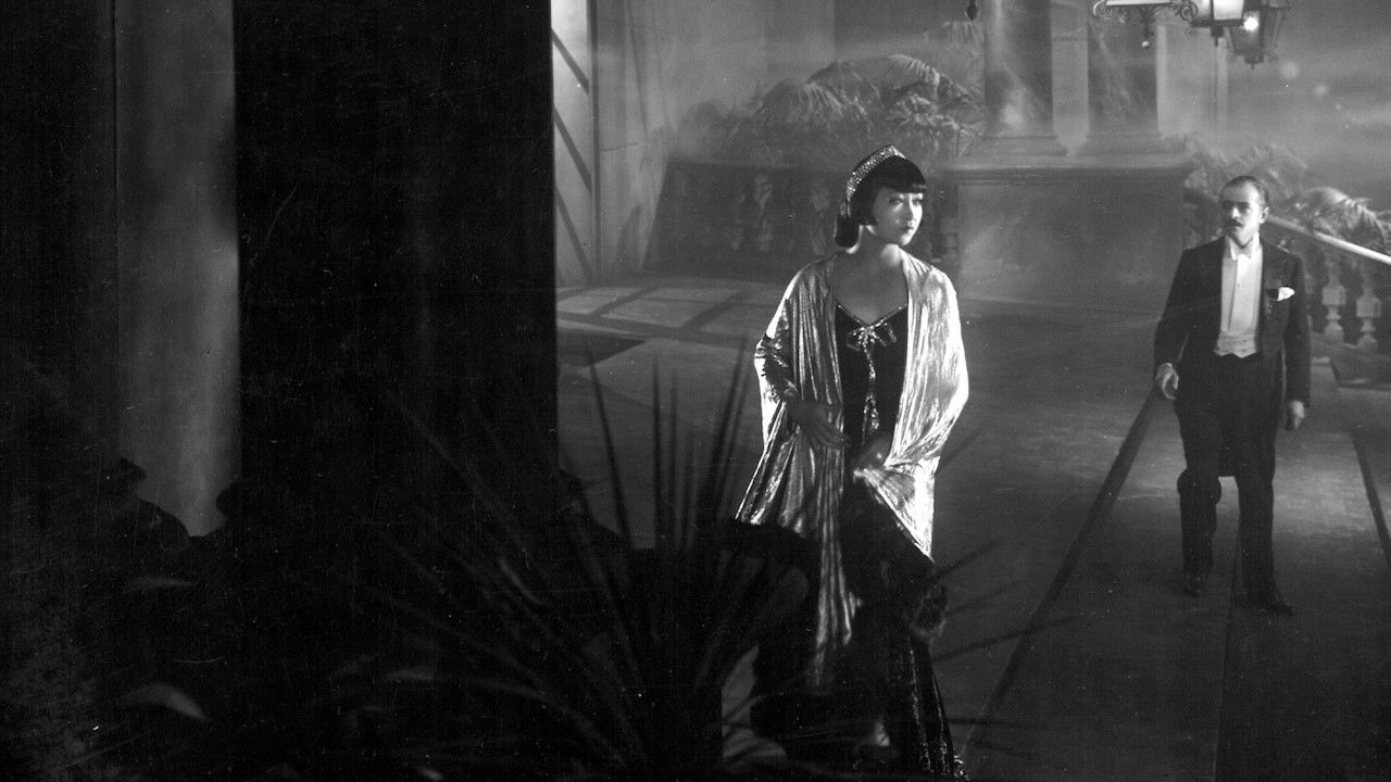 Backdrop for Pavement Butterfly